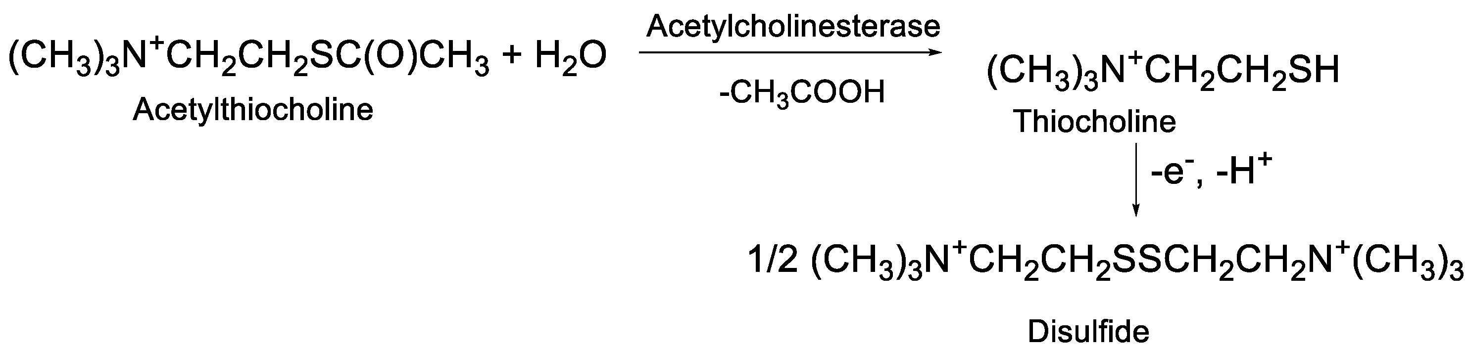 Biosensors 12 00676 g001 Biosensors 12 00676 g001