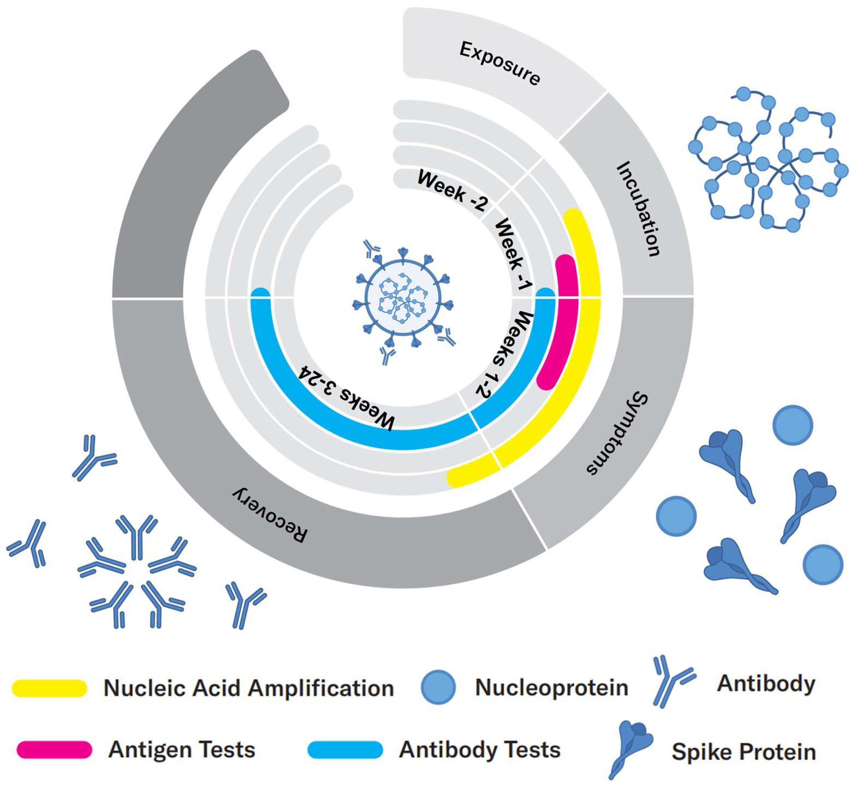 Biosensors 12 00678 g001