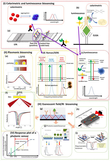 Biosensors 12 00678 g002 550
