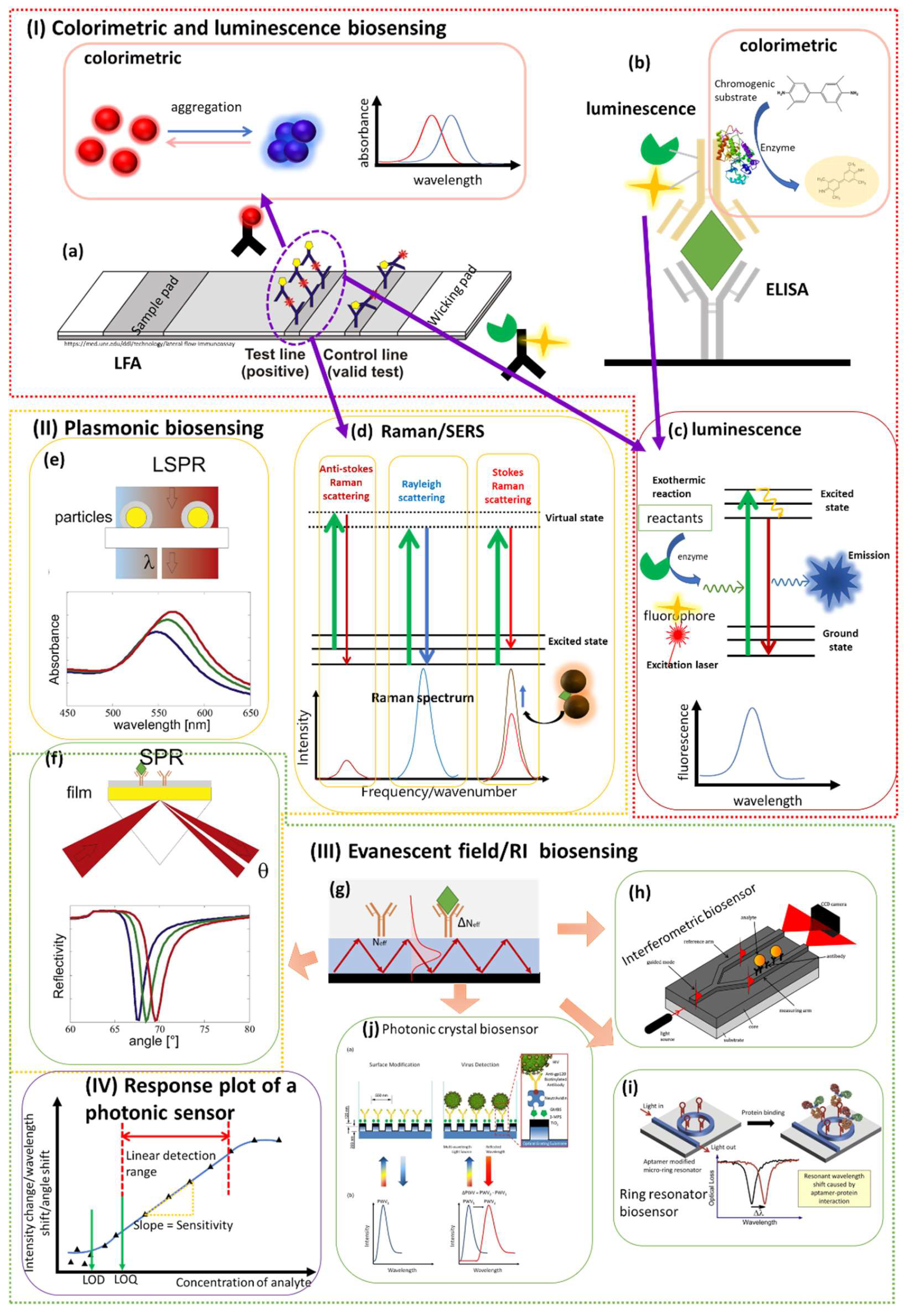 Biosensors 12 00678 g002