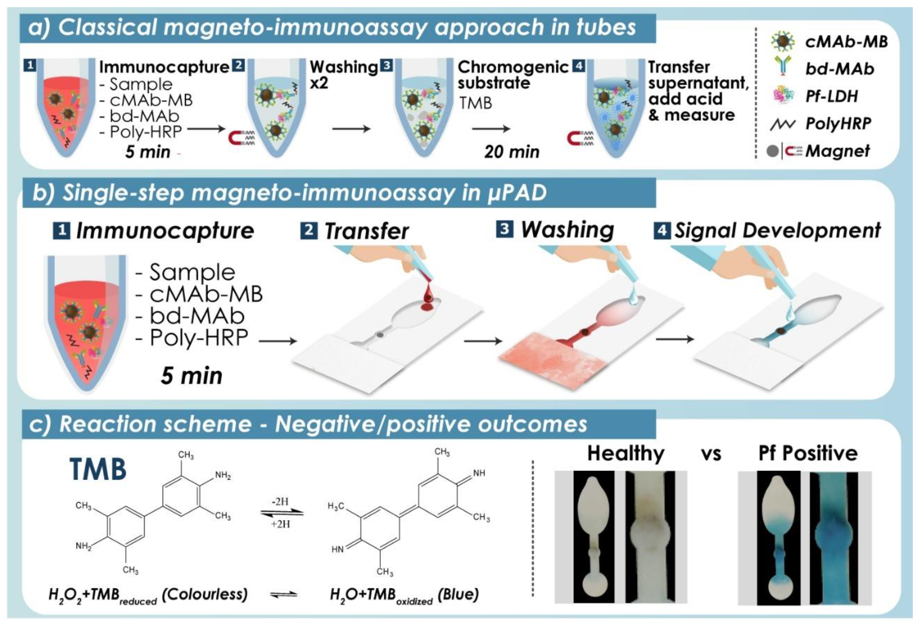 Biosensors 12 00680 g002