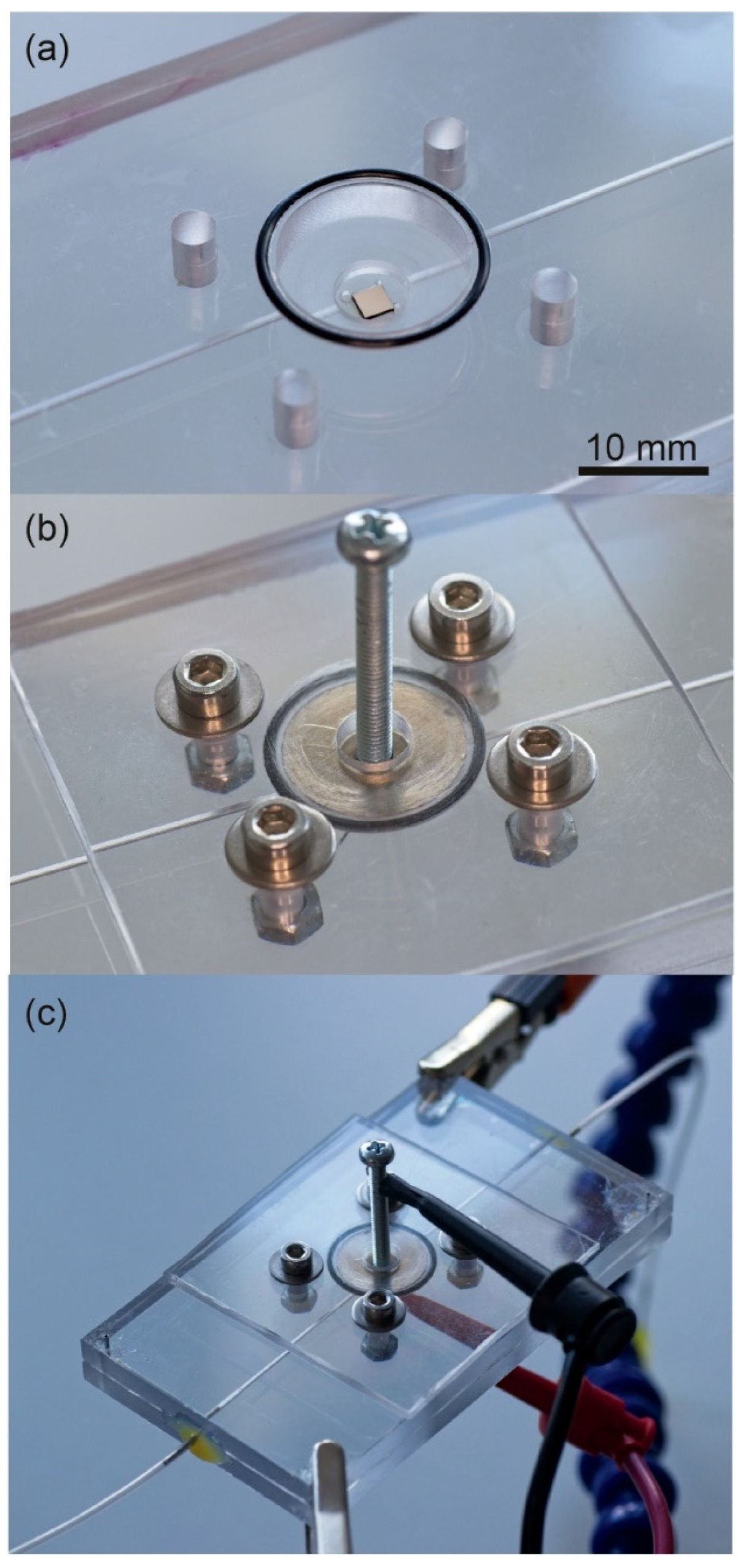 Biosensors 12 00681 g002 Biosensors 12 00681 g002