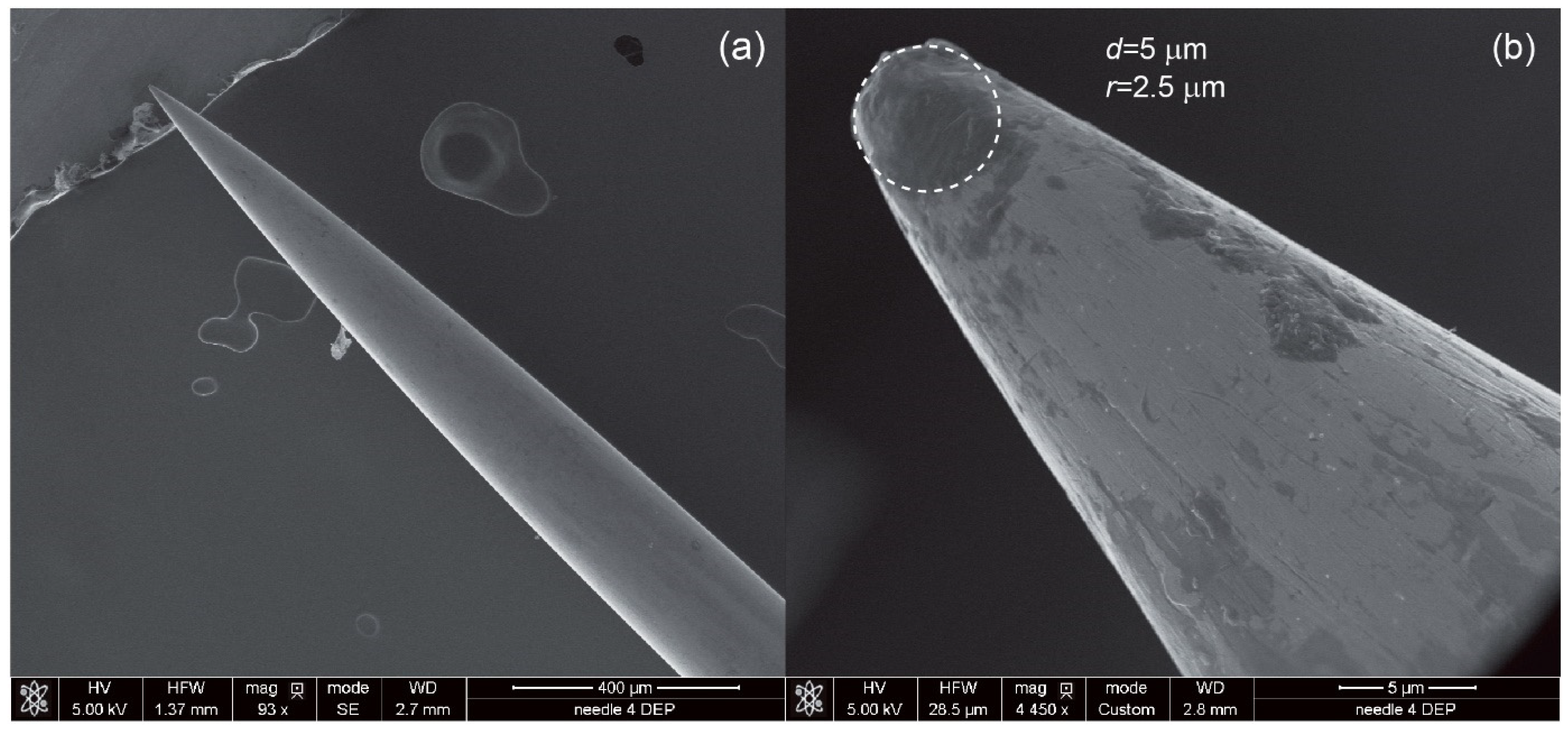 Biosensors 12 00681 g004 Biosensors 12 00681 g004