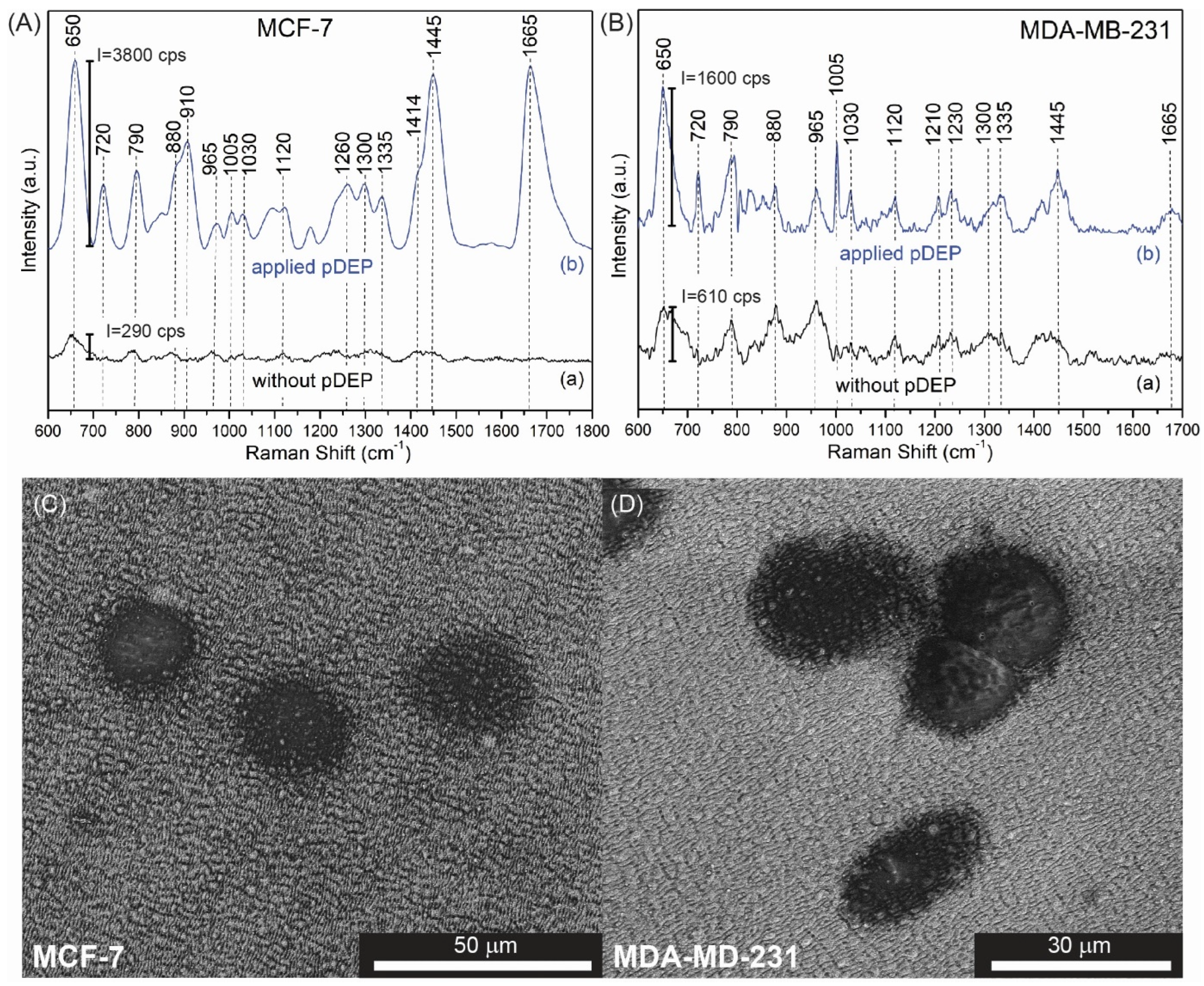 Biosensors 12 00681 g008 Biosensors 12 00681 g008