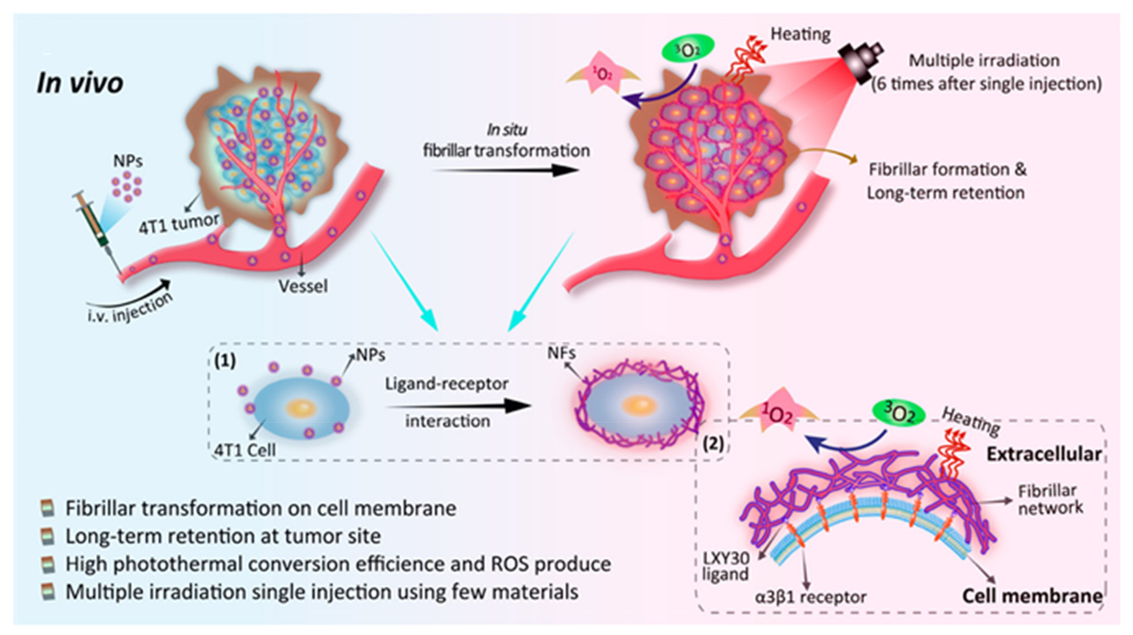 Biosensors 12 00683 g003