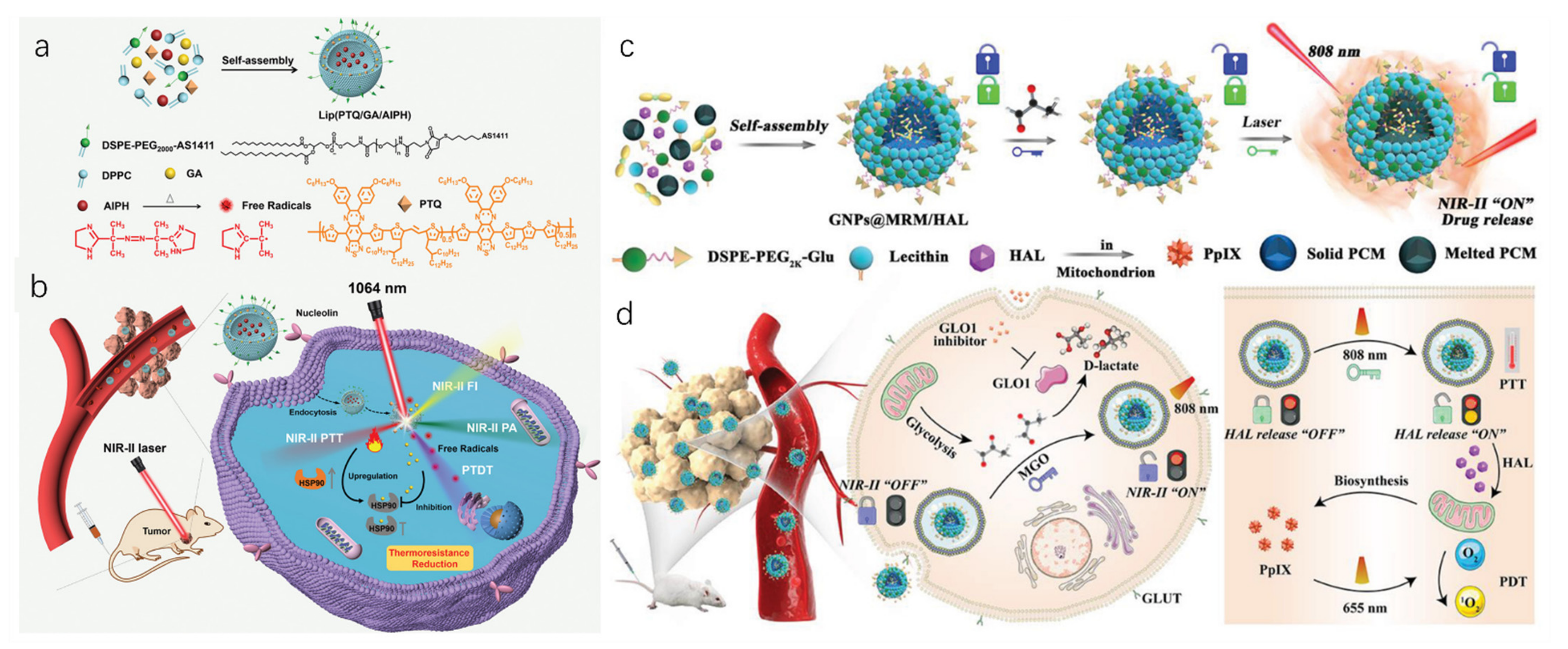 Biosensors 12 00683 g004