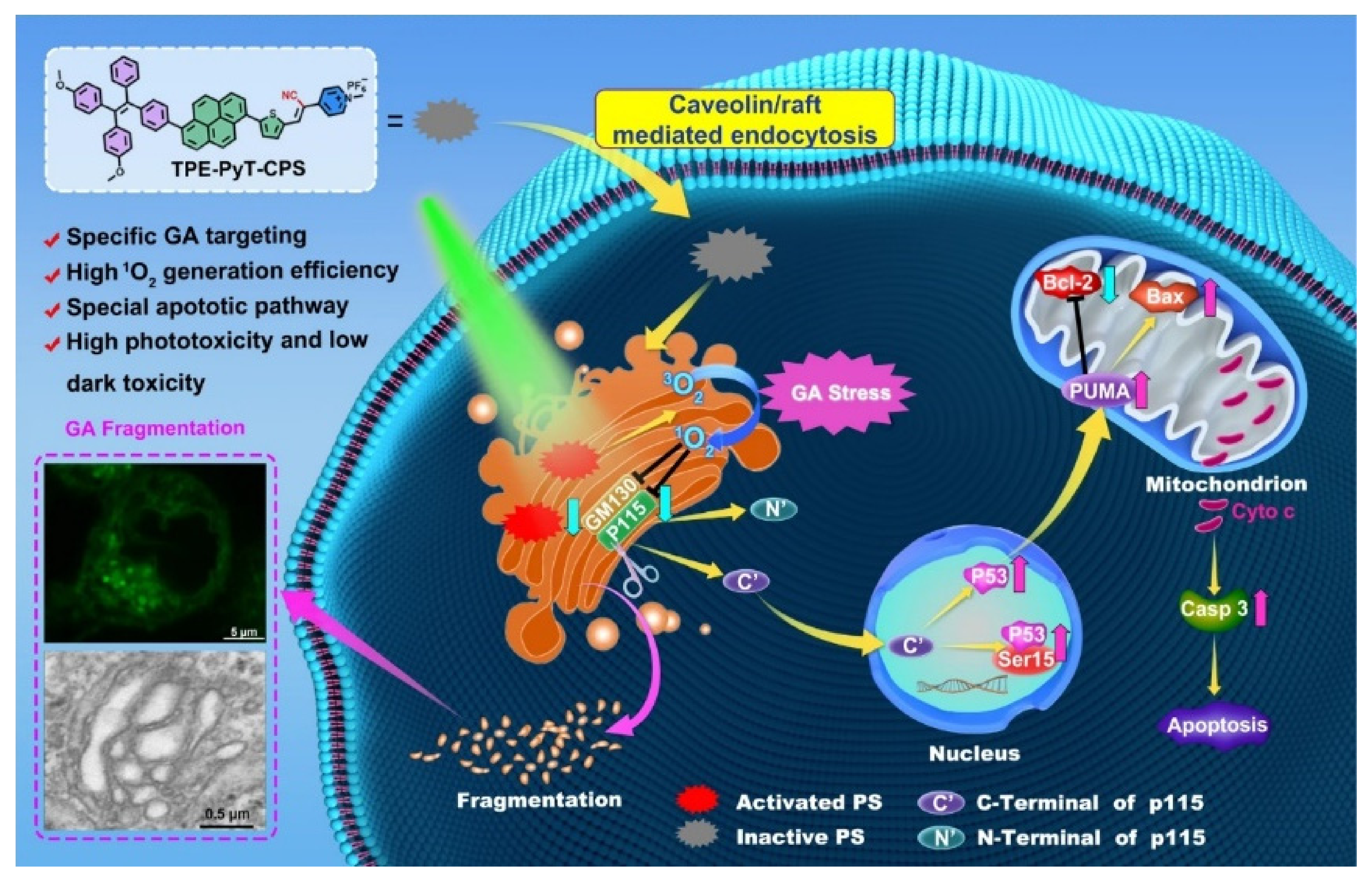 Biosensors 12 00683 g007