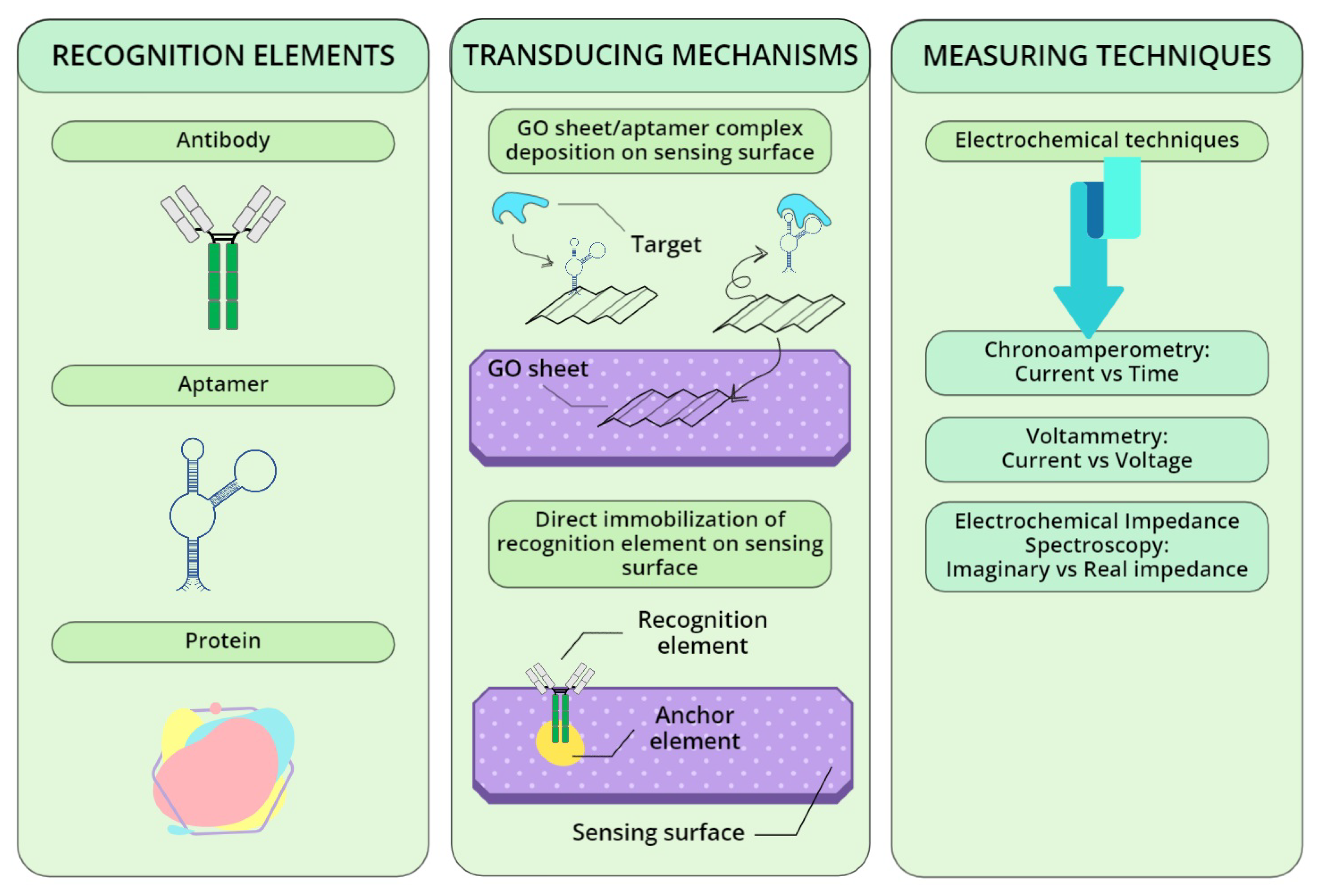 Biosensors 12 00687 g004