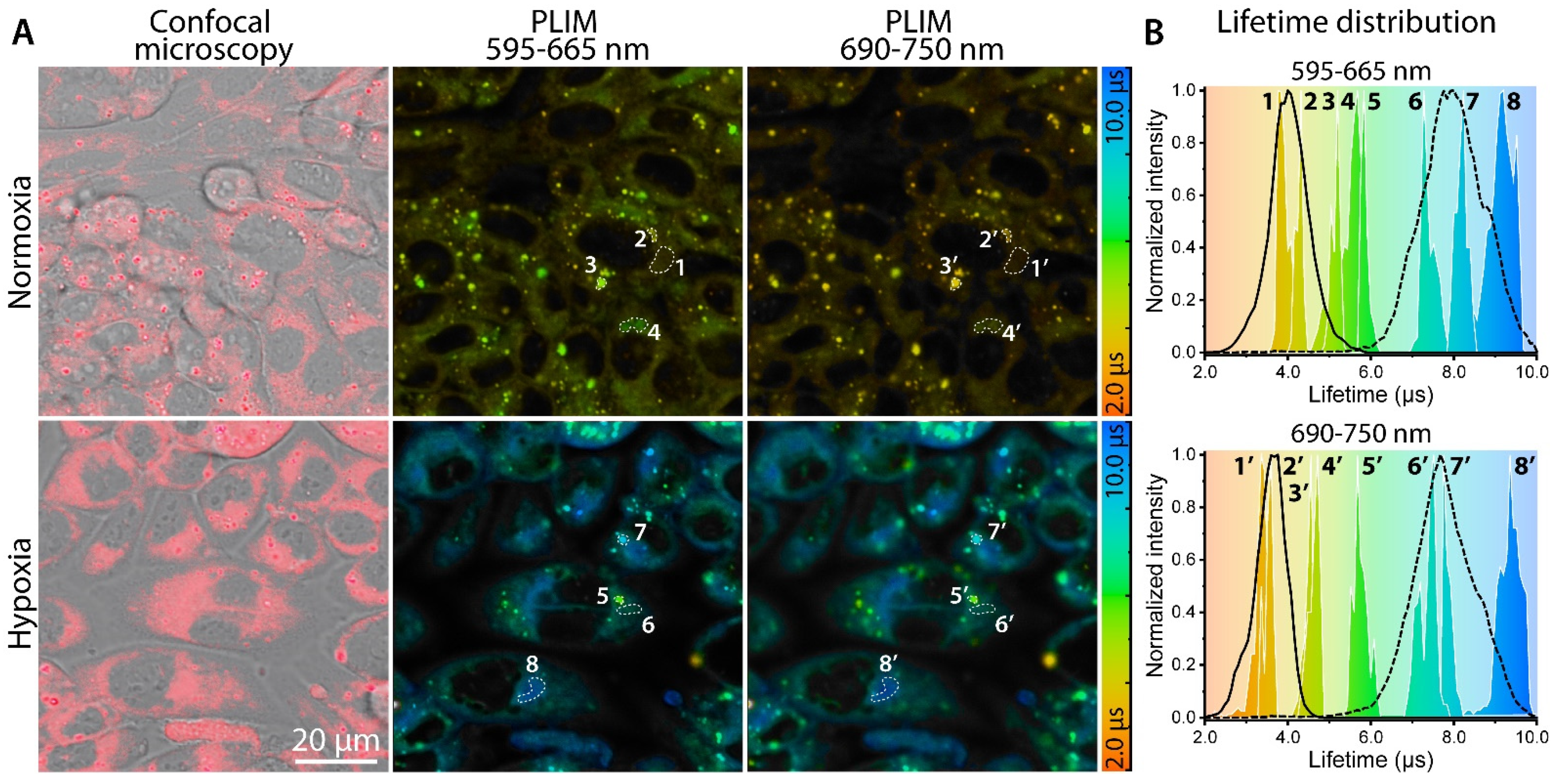 Biosensors 12 00695 g005