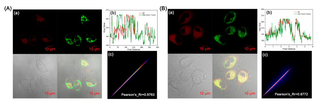 Biosensors 12 00696 g004