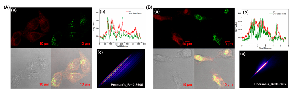 Biosensors 12 00696 g005