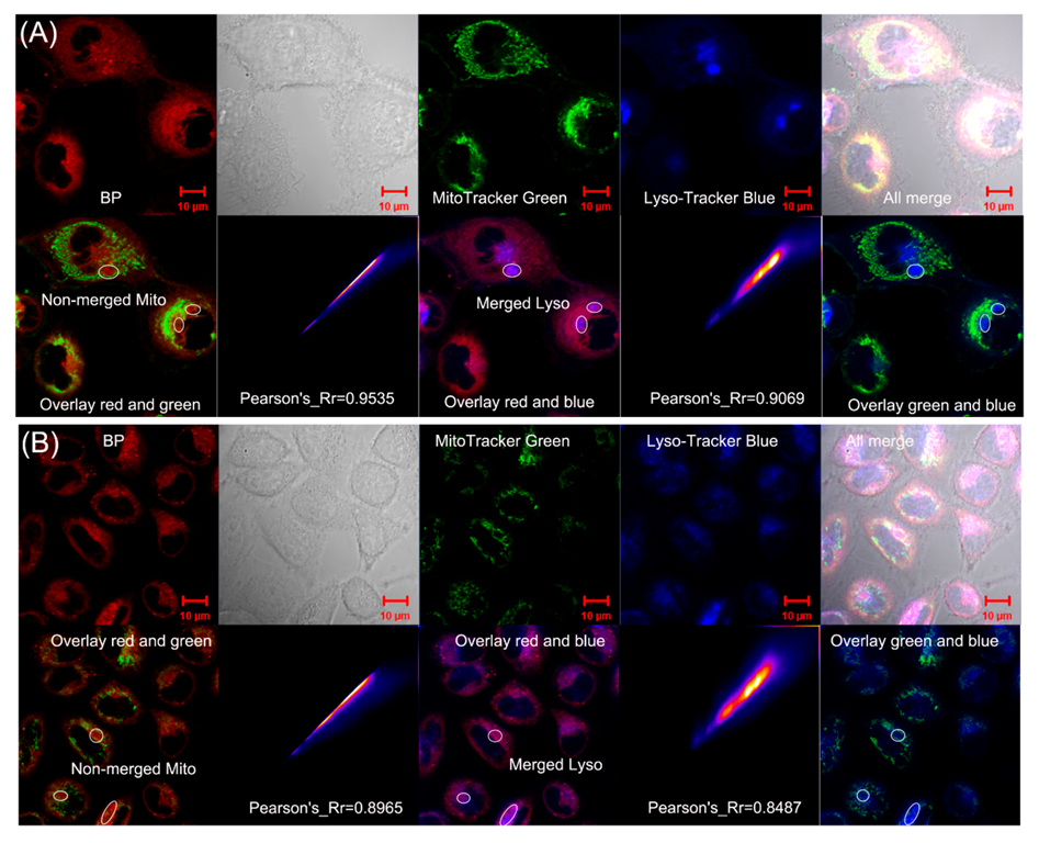 Biosensors 12 00696 g006