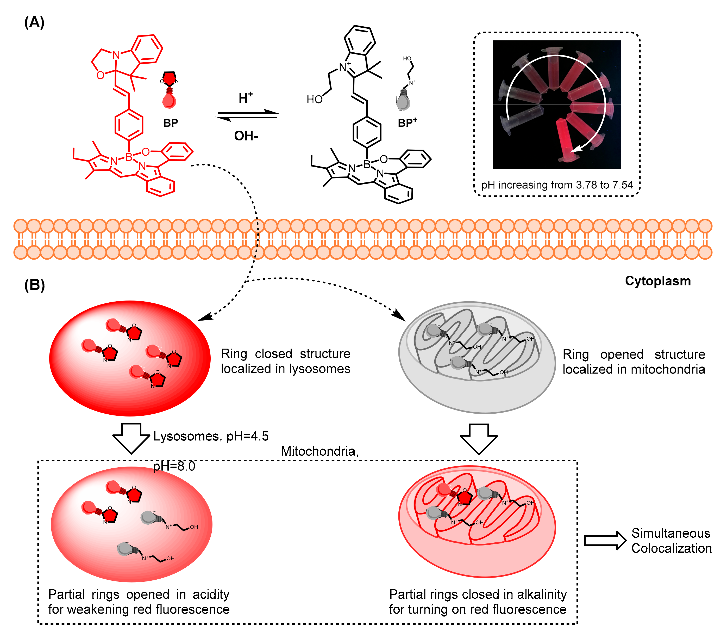 Biosensors 12 00696 sch001