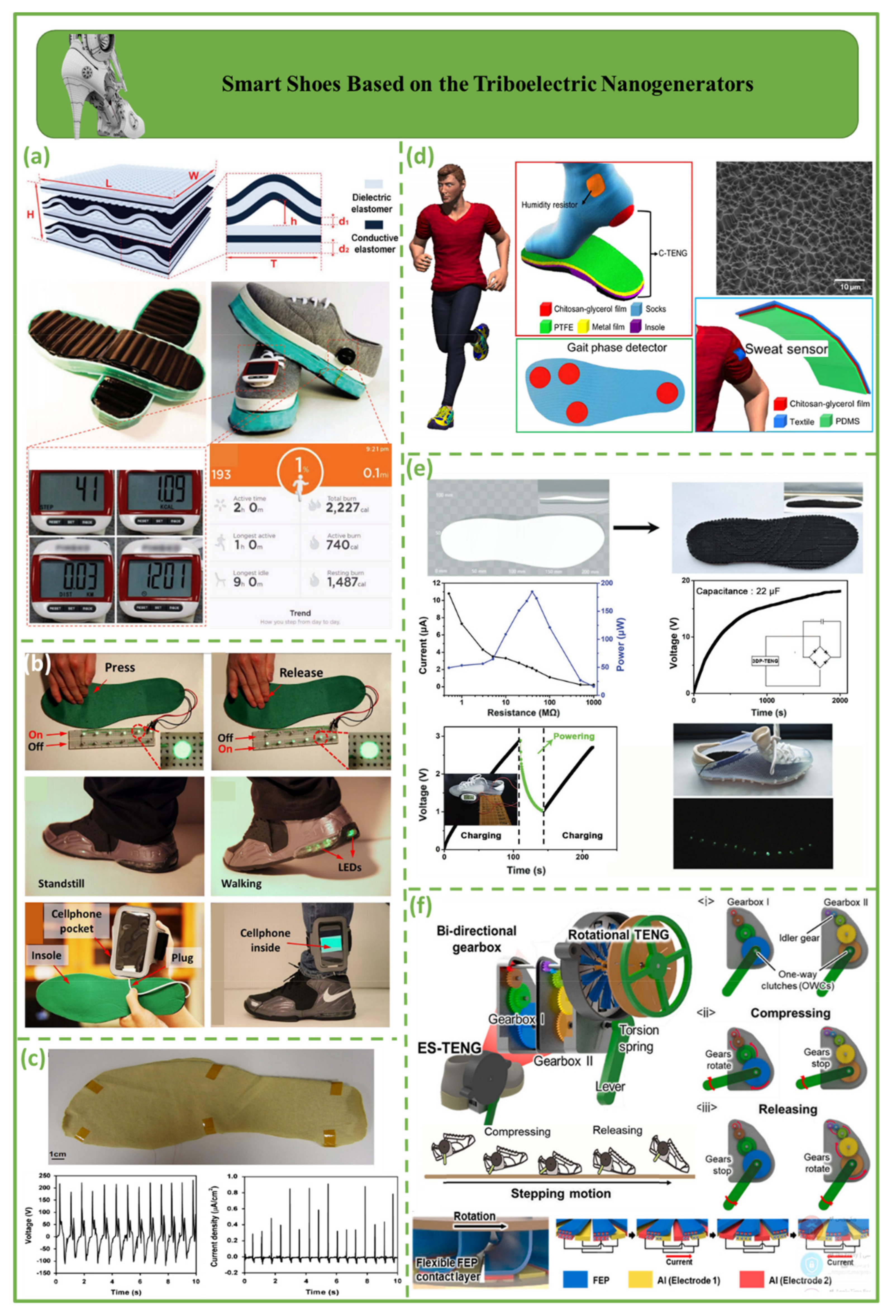 Biosensors 12 00697 g007