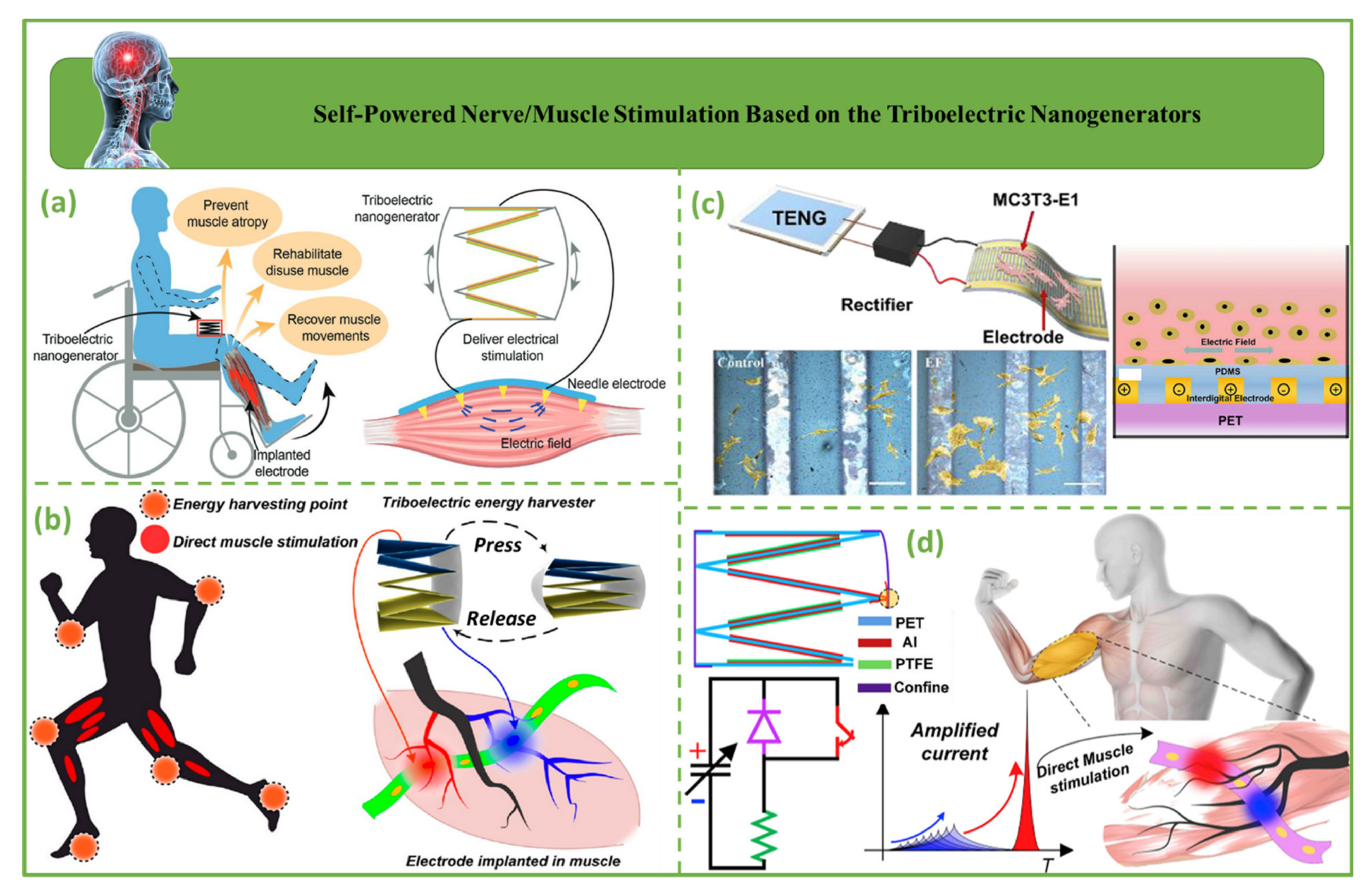 Biosensors 12 00697 g012