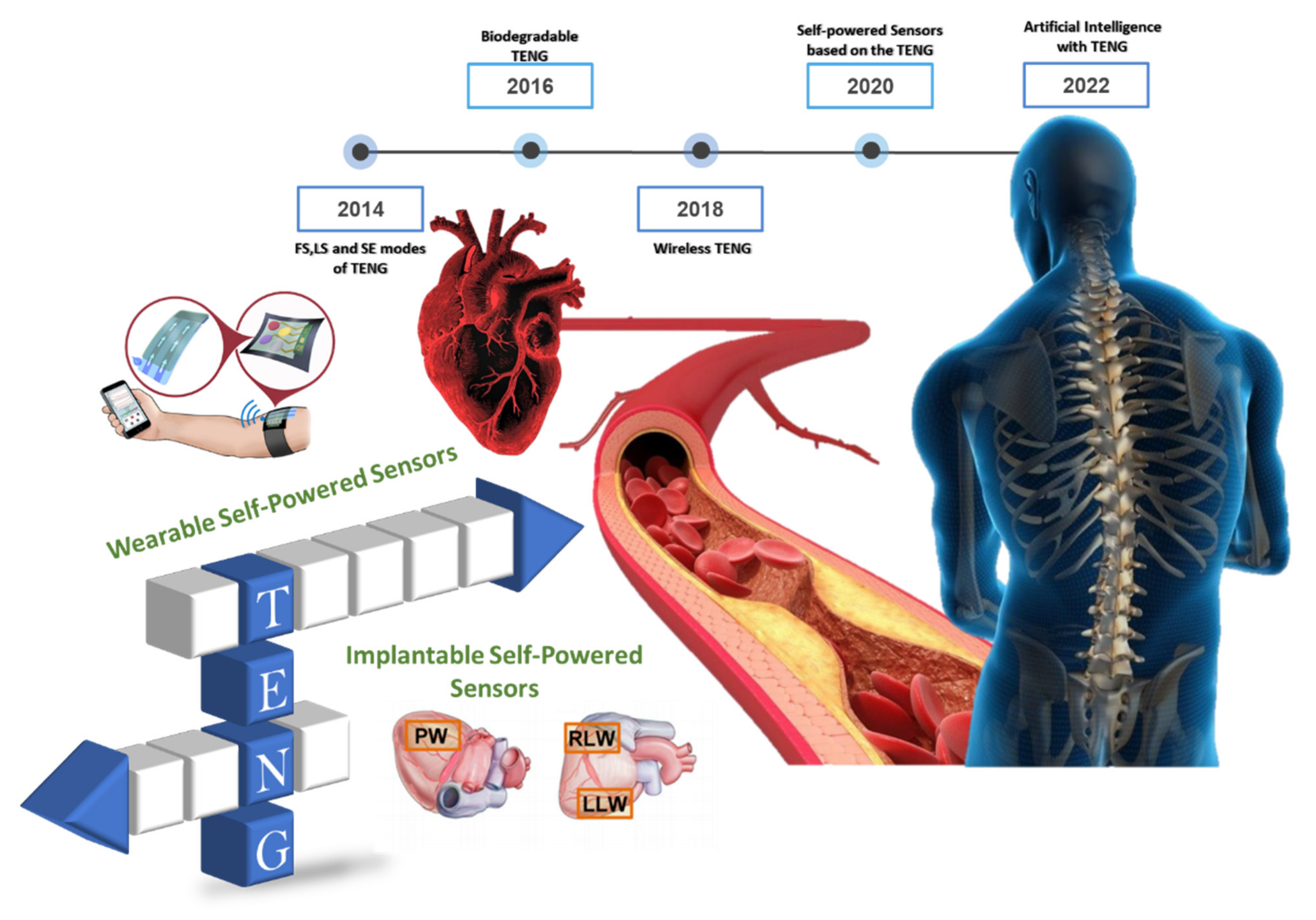 Biosensors 12 00697 g013