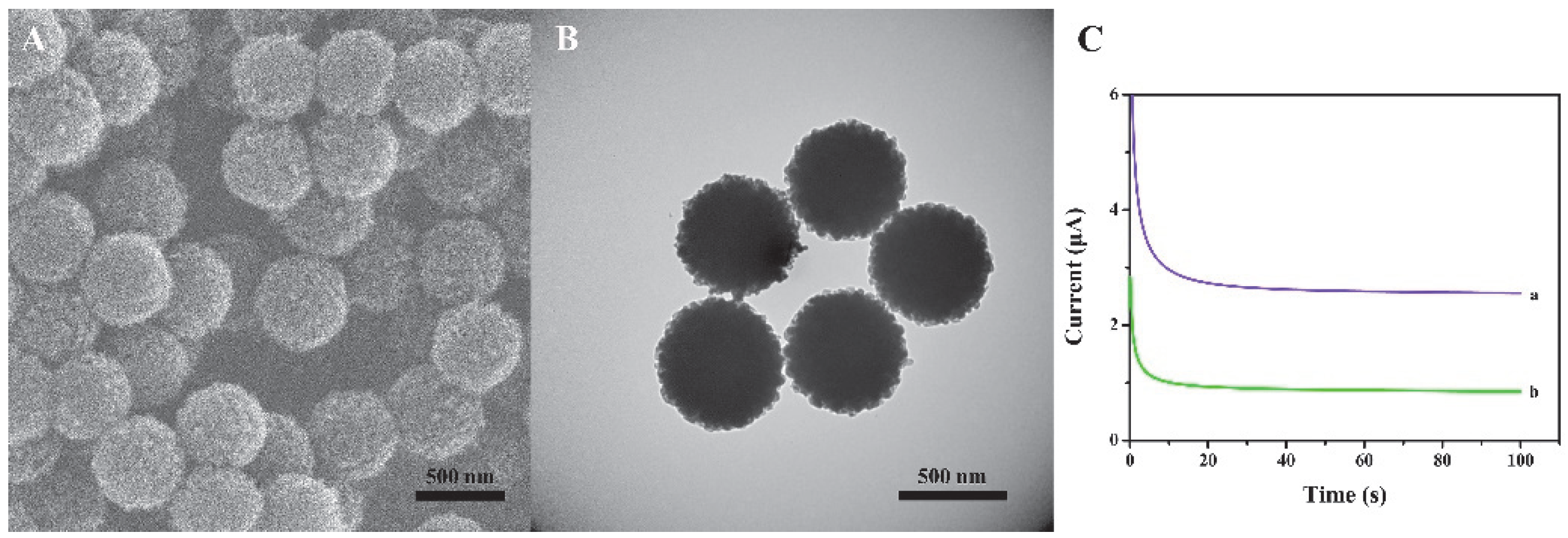 Biosensors 12 00704 g002