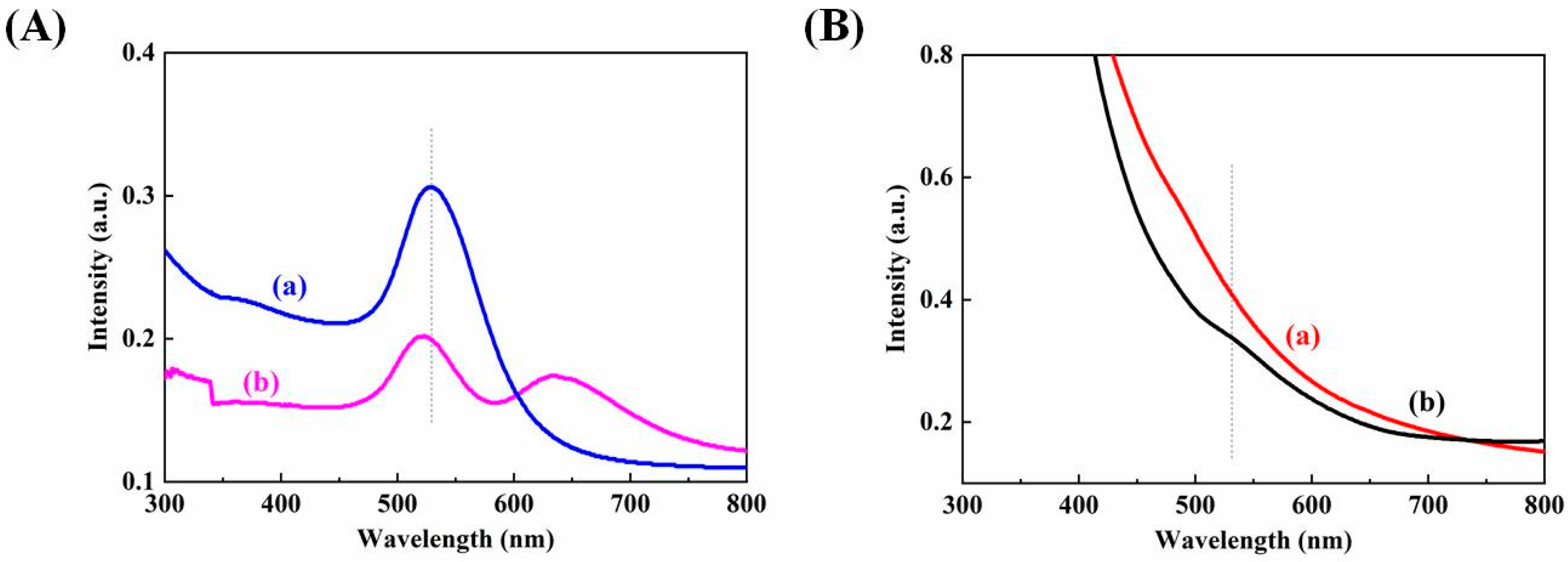 Biosensors 12 00711 g003