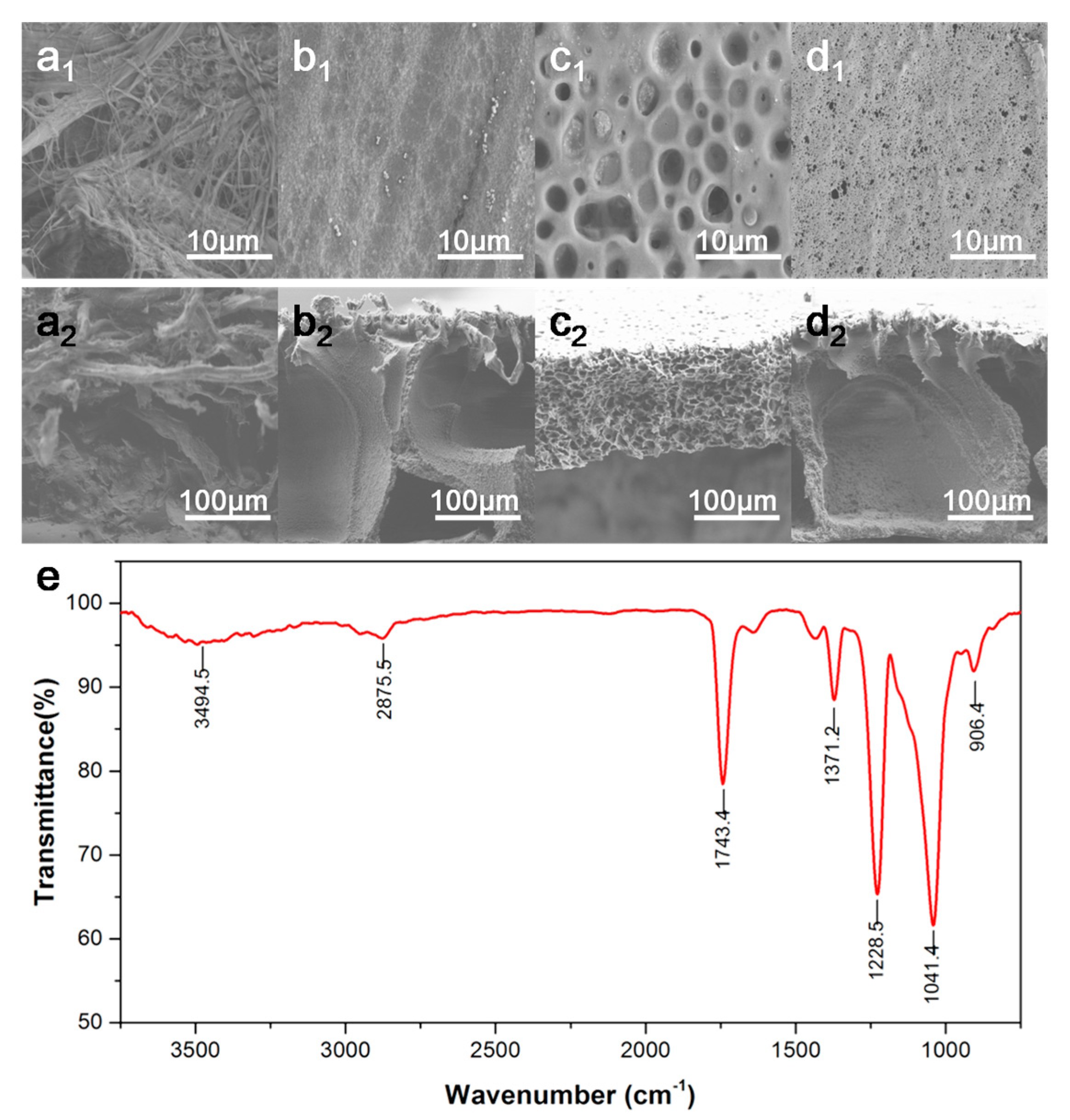 Biosensors 12 00712 g001 Biosensors 12 00712 g001