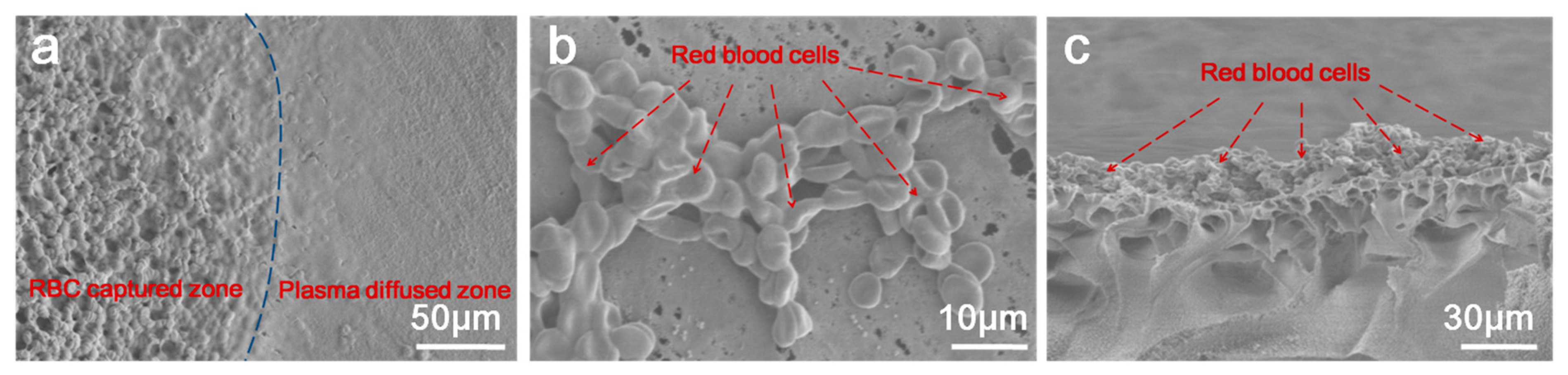 Biosensors 12 00712 g002 Biosensors 12 00712 g002