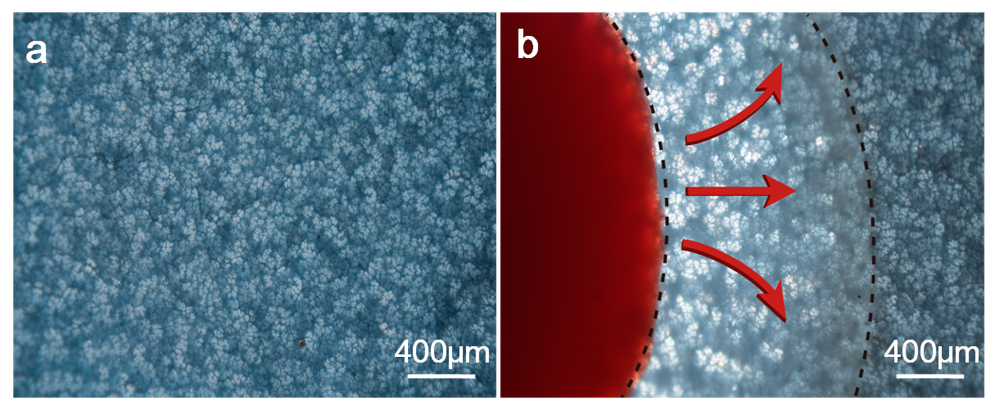 Biosensors 12 00712 g003 Biosensors 12 00712 g003
