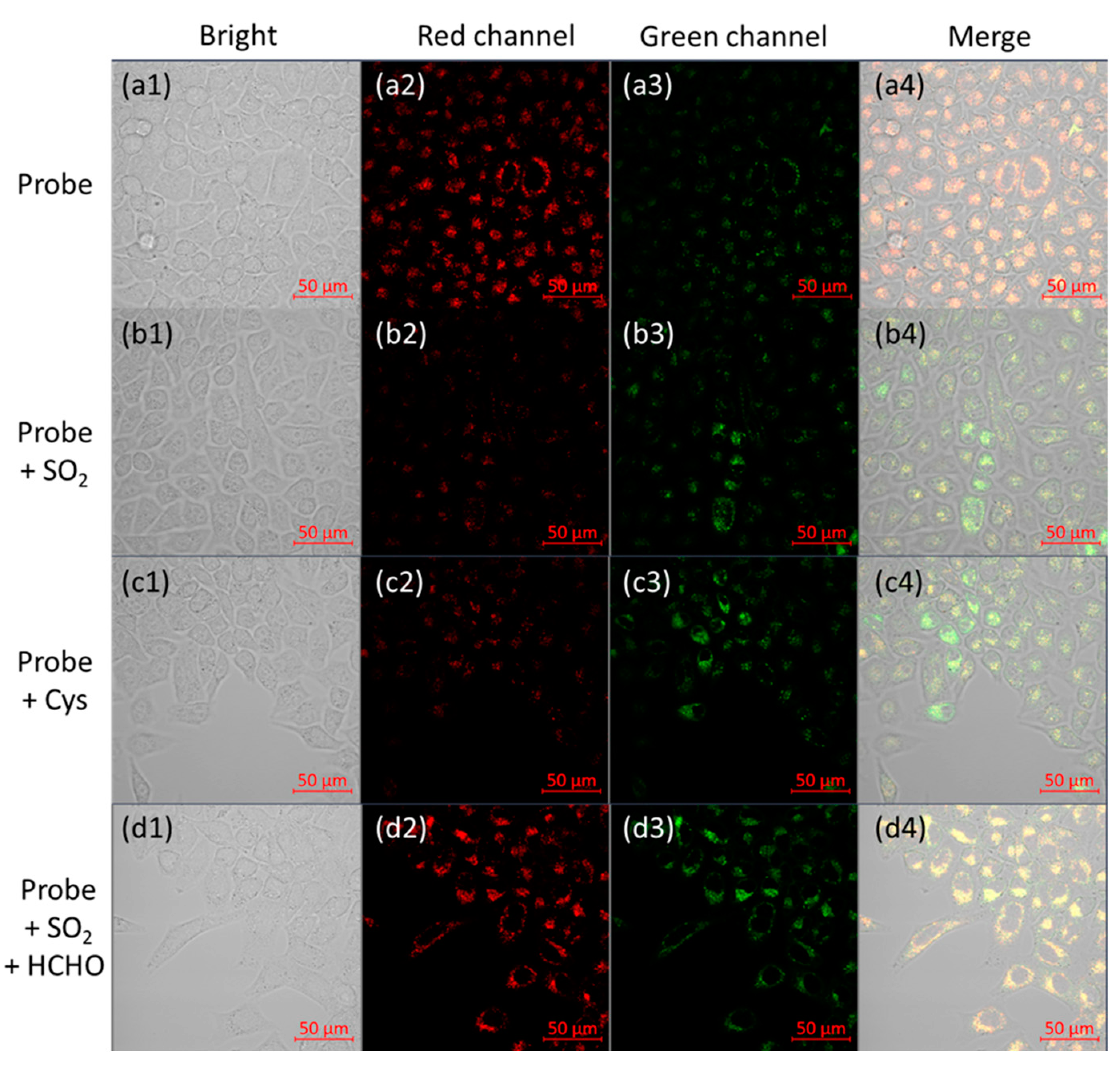 Biosensors 12 00715 g003