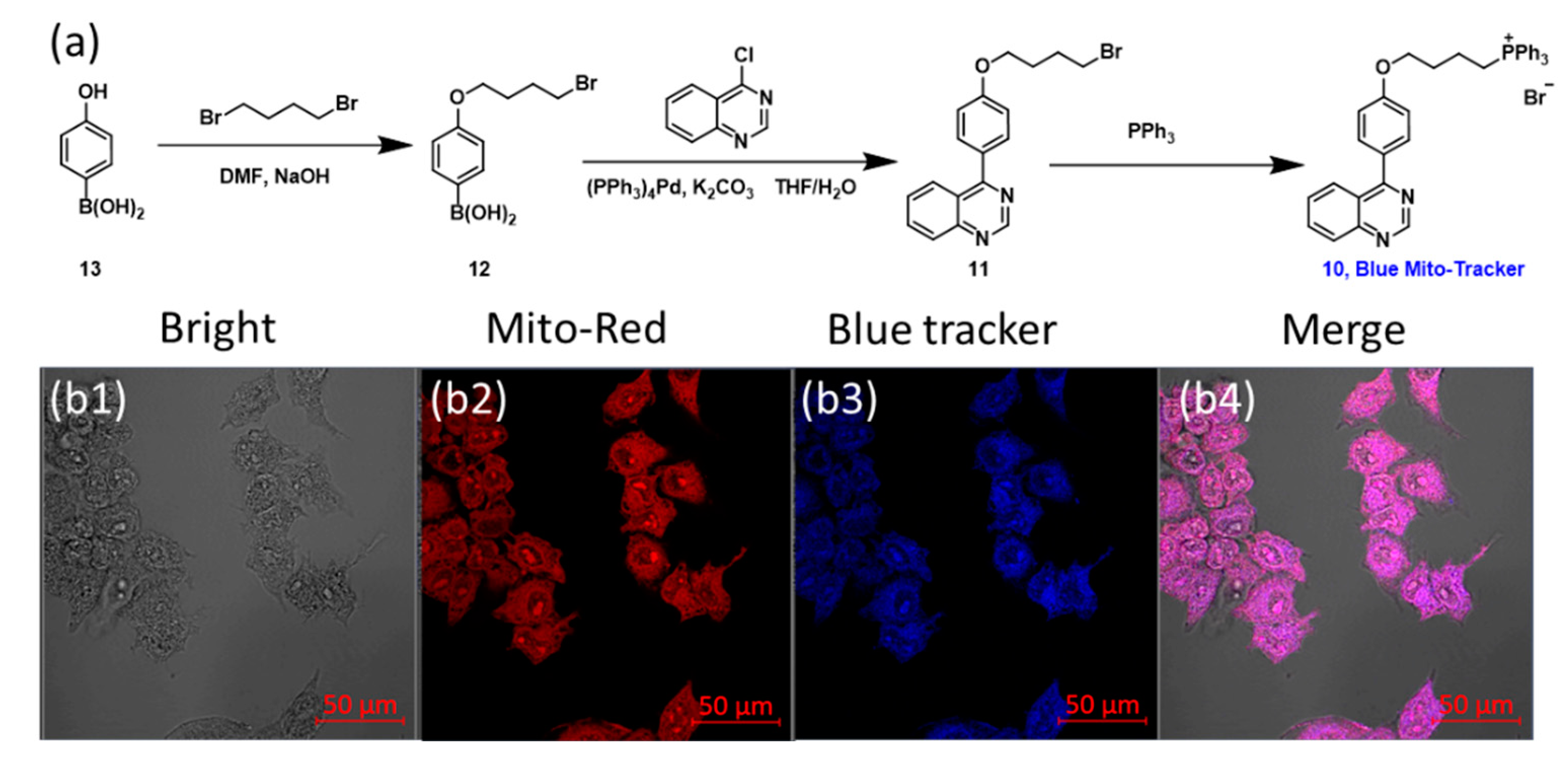 Biosensors 12 00715 g004