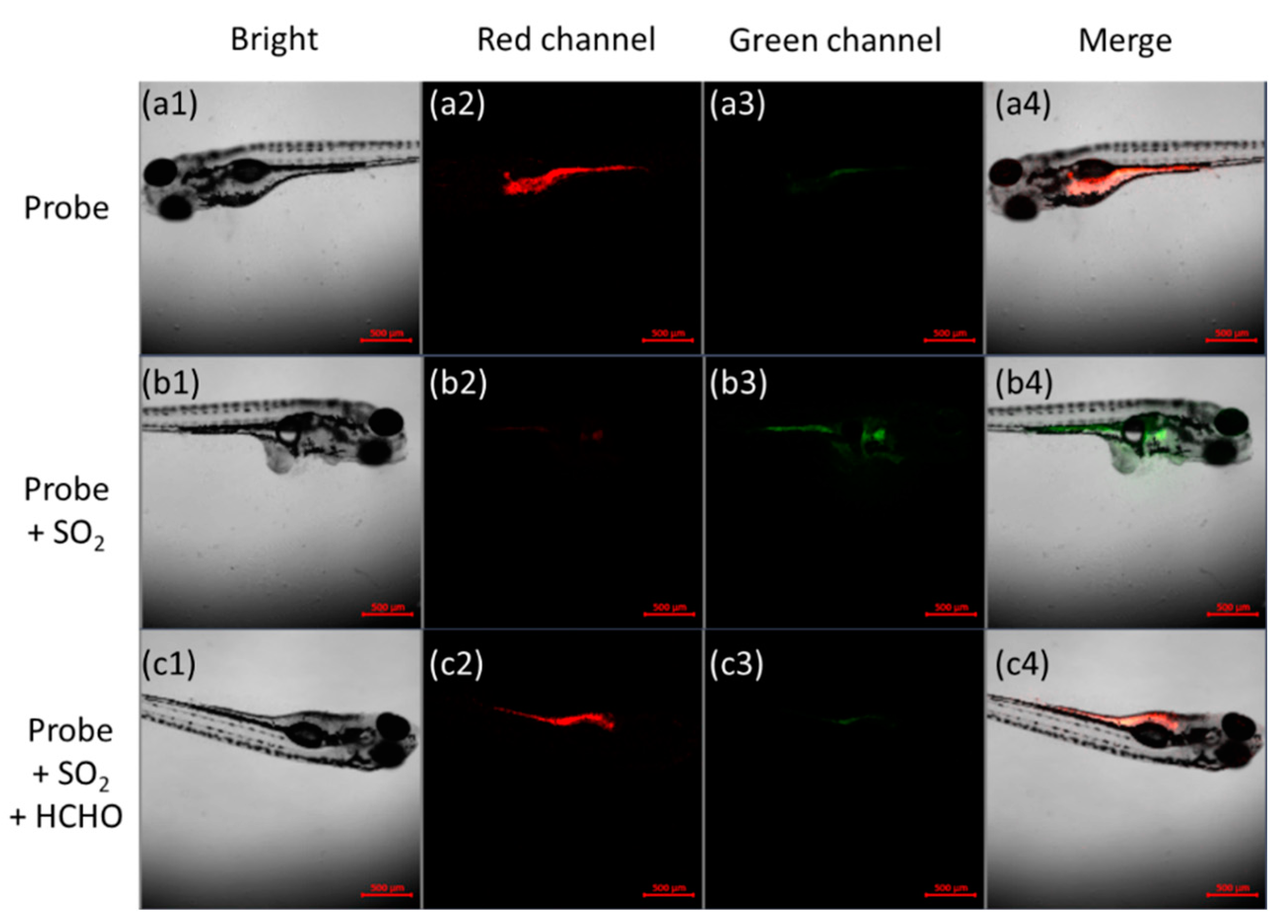 Biosensors 12 00715 g006