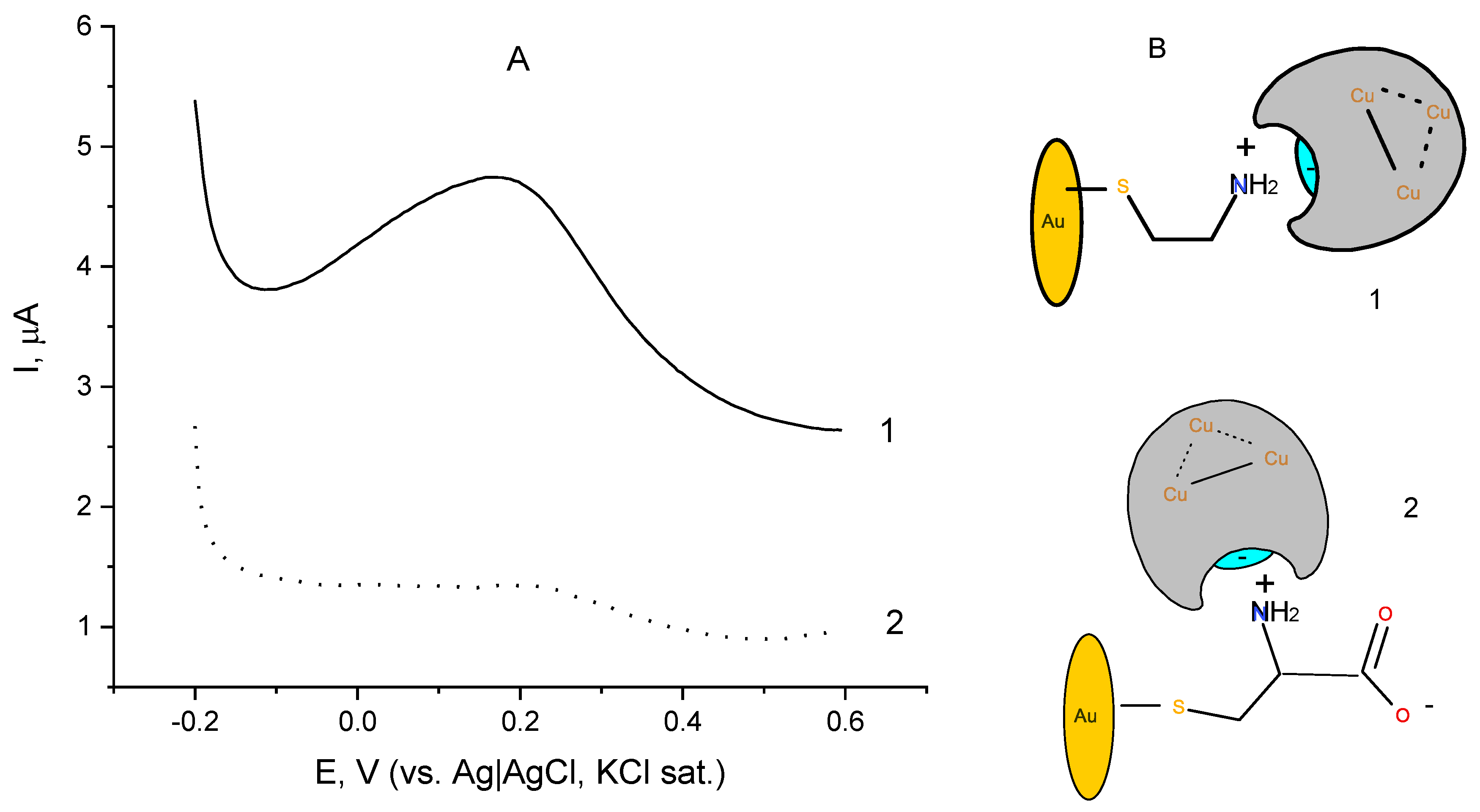 Biosensors 12 00719 g003