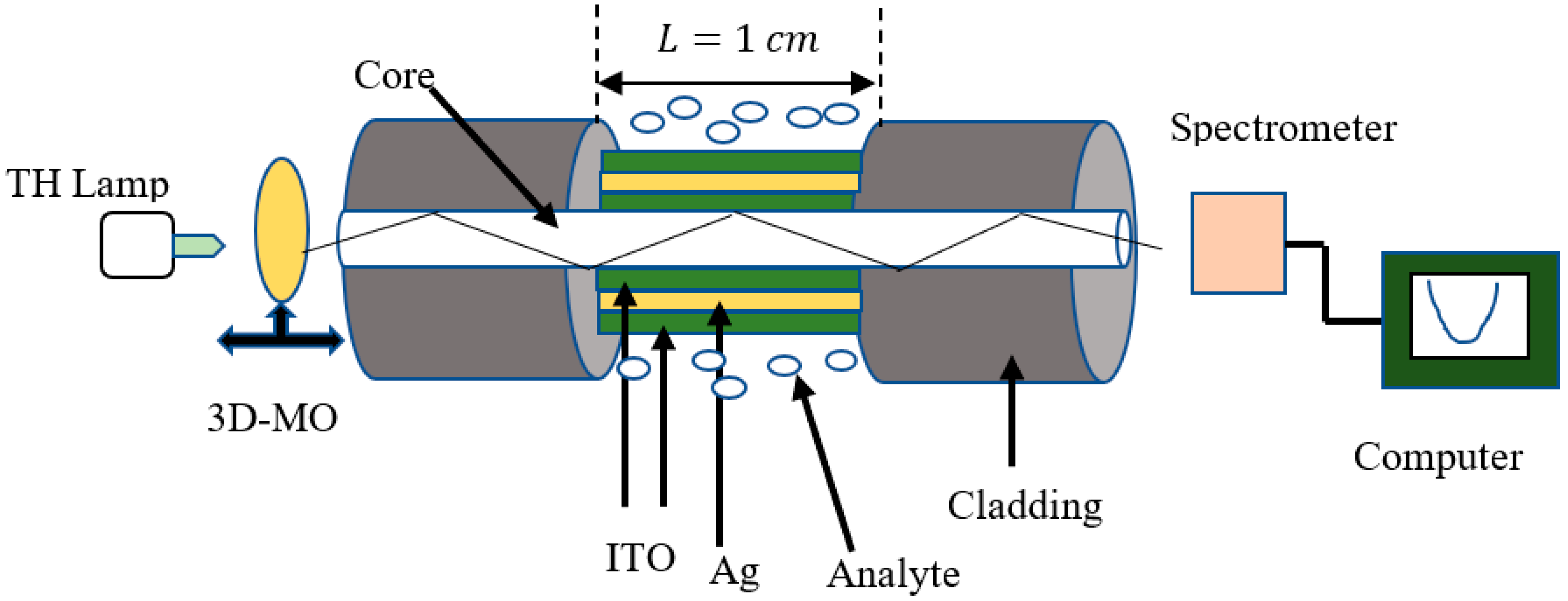 Biosensors 12 00721 g001