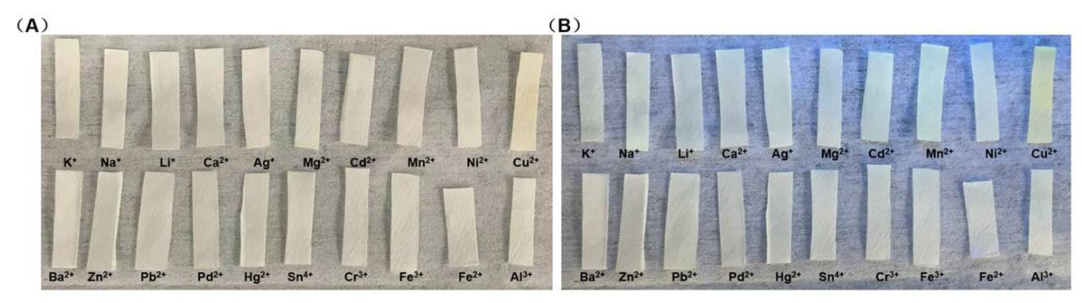 Biosensors 12 00732 g005