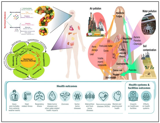 Biosensors 12 00733 g001