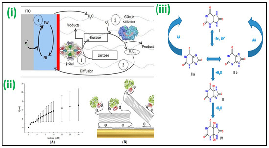 Biosensors 12 00733 g003