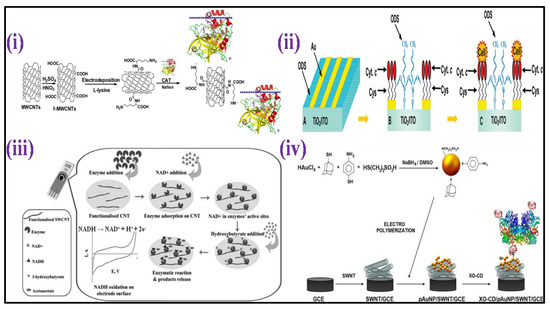 Biosensors 12 00733 g005