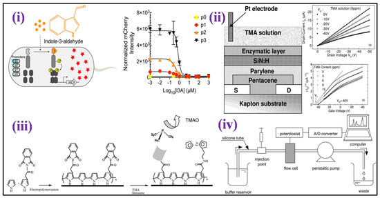Biosensors 12 00733 g009