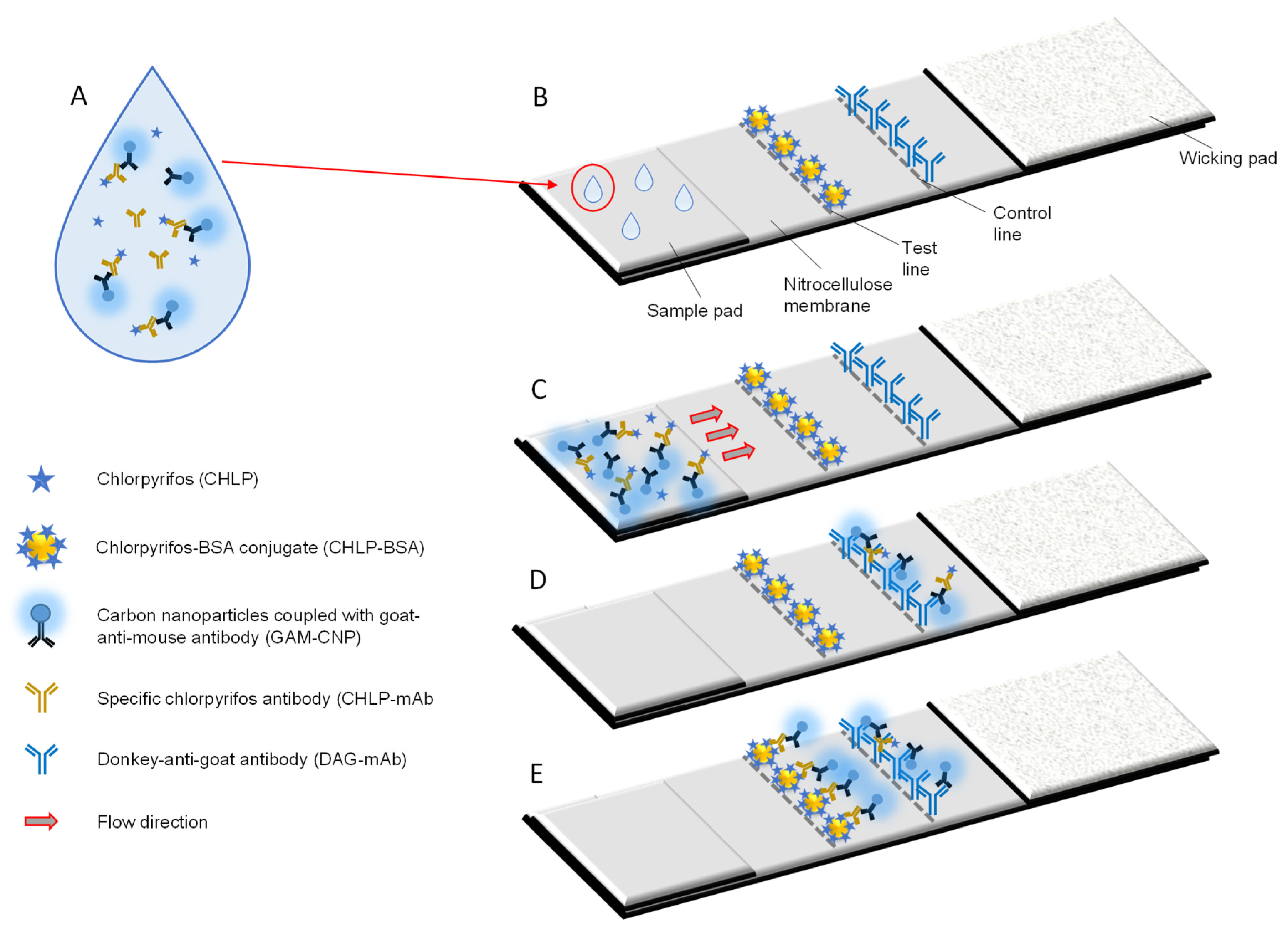 Biosensors 12 00735 g001