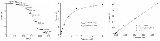 Biosensors 12 00741 g0a5 550