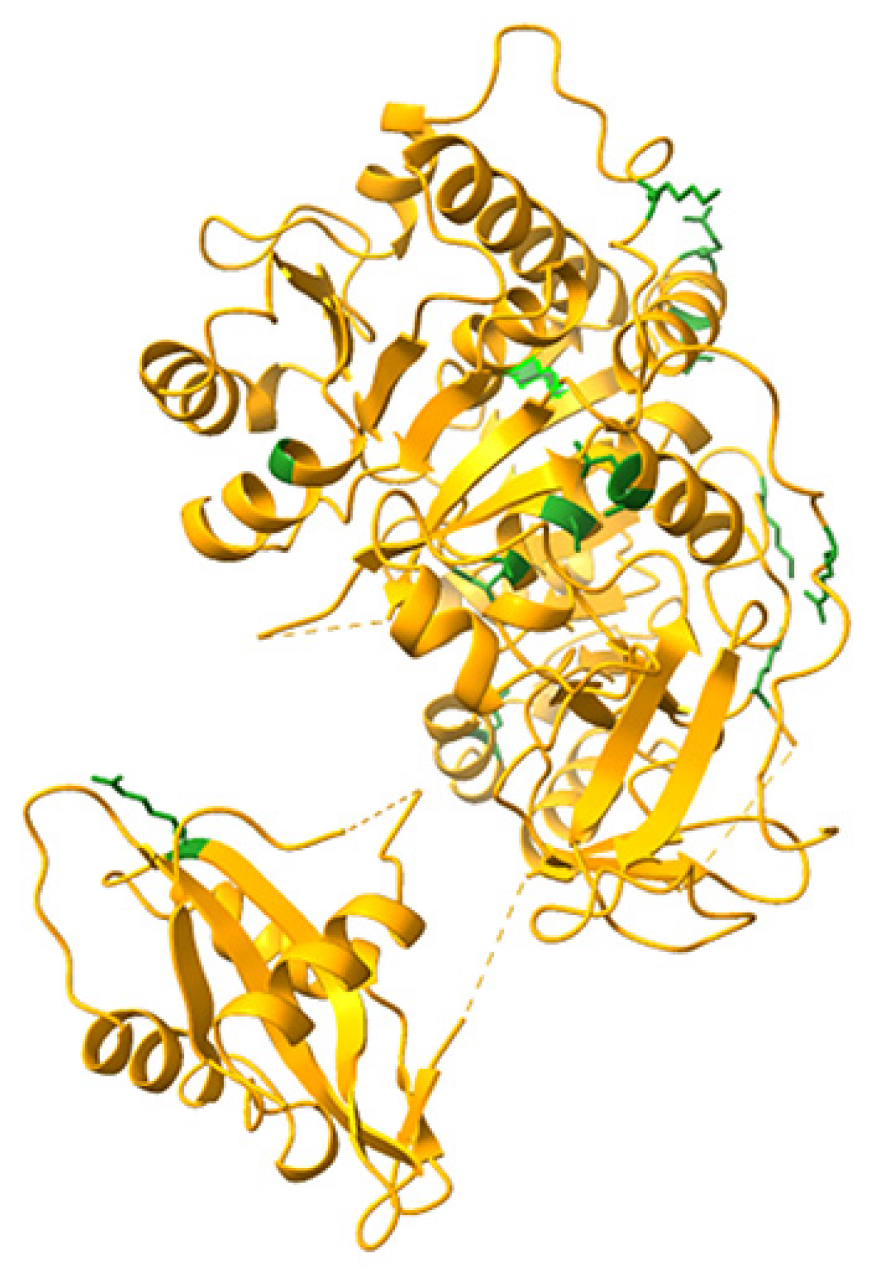 Biosensors 12 00742 g001