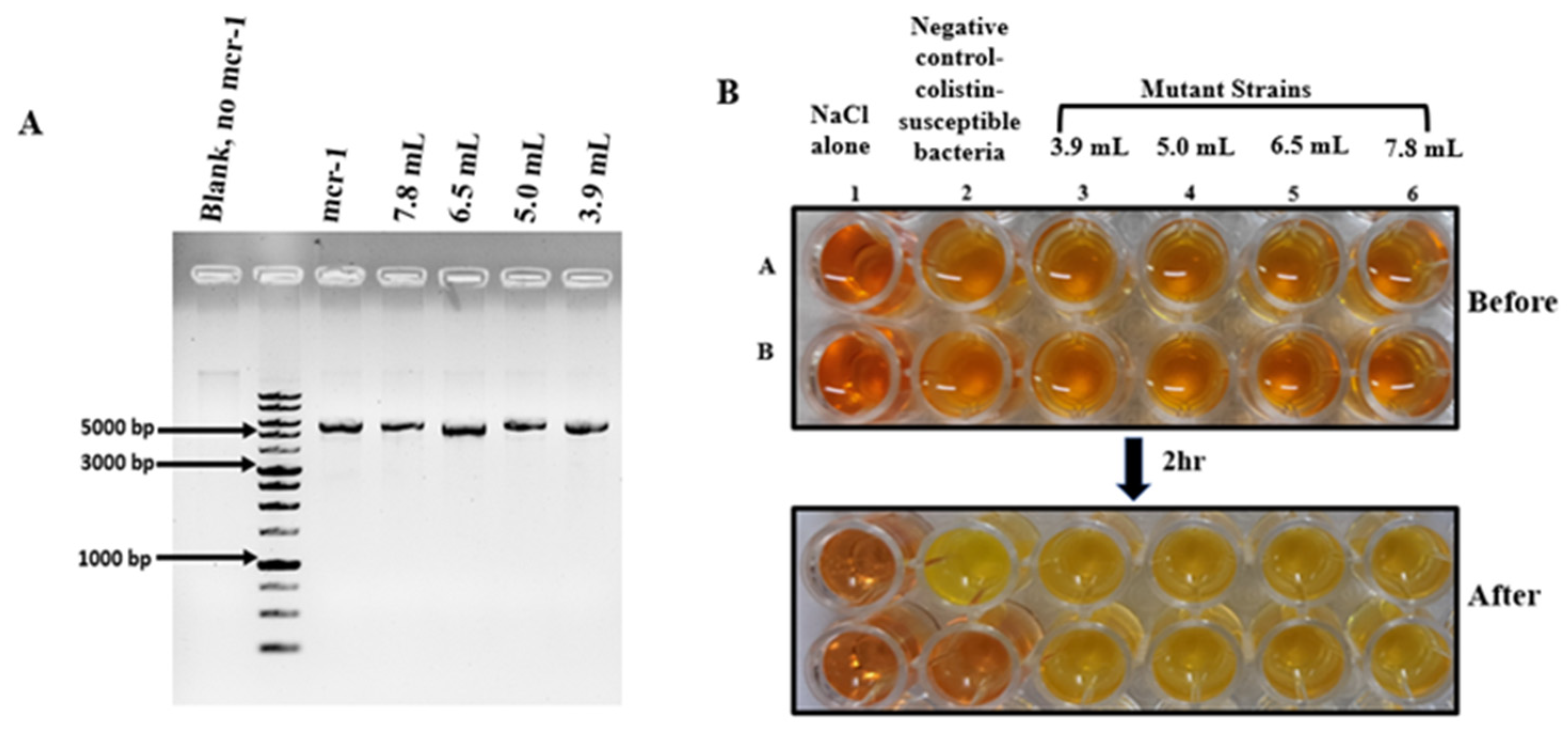 Biosensors 12 00749 g002 Biosensors 12 00749 g002