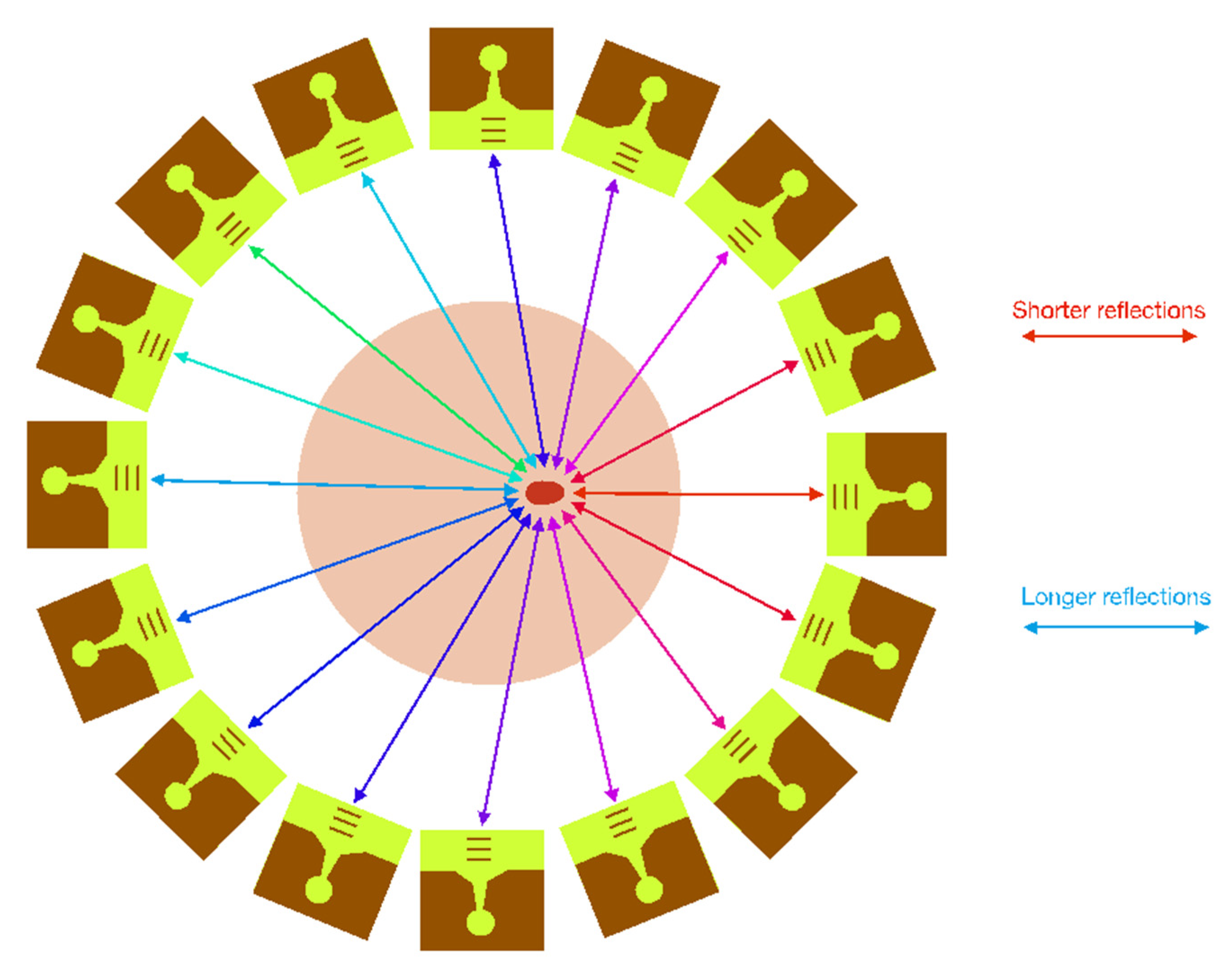 Biosensors 12 00752 g010
