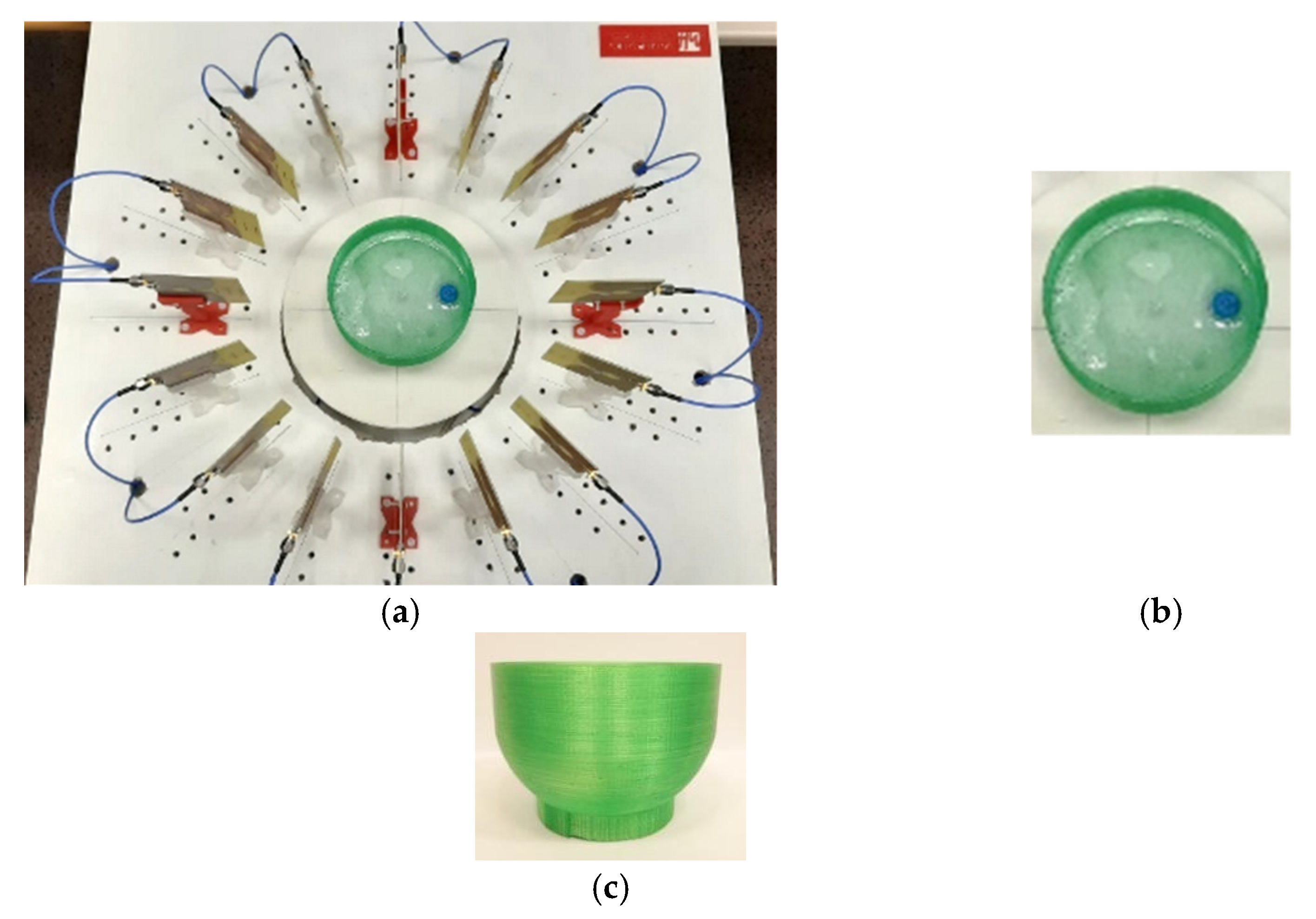 Biosensors 12 00752 g016