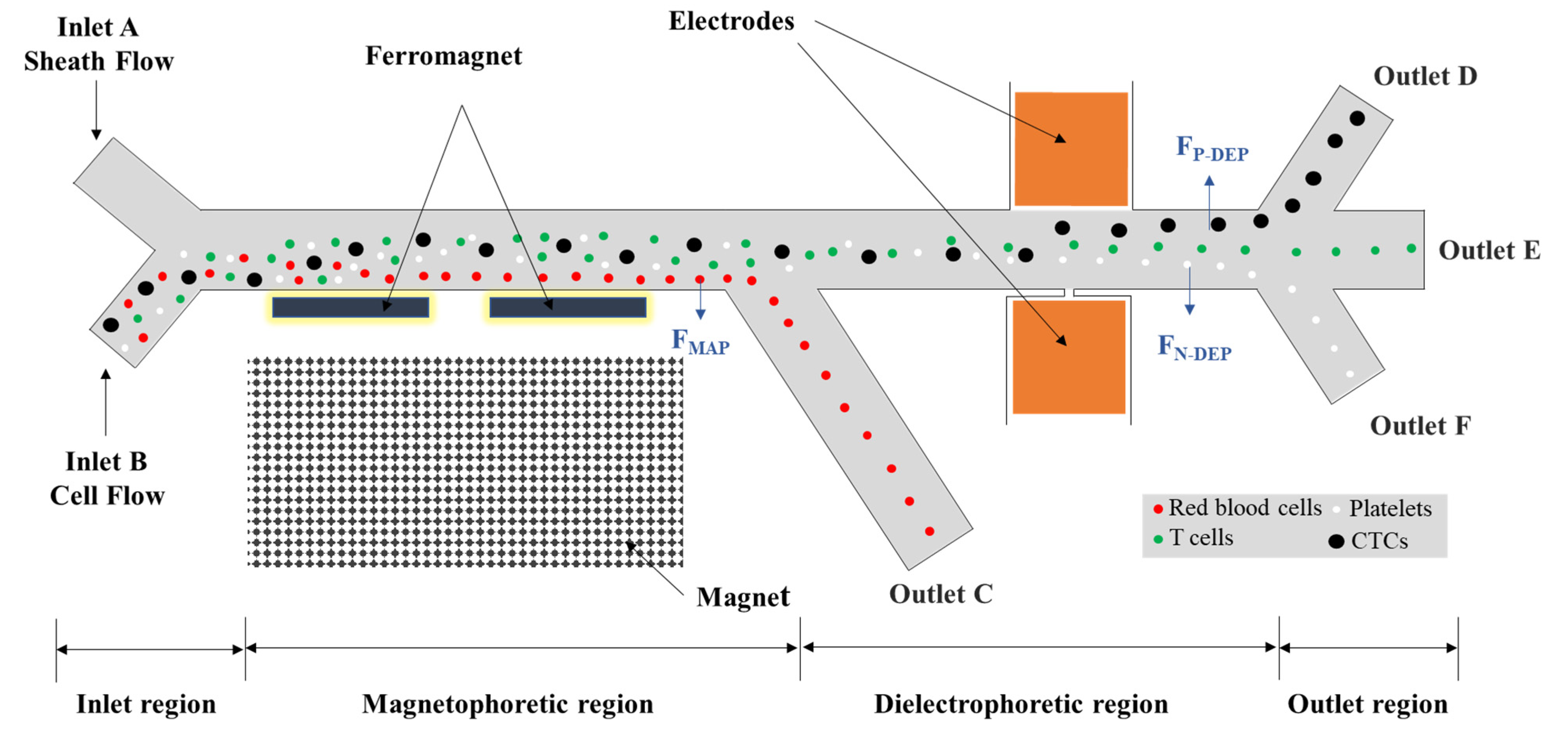Biosensors 12 00757 g001