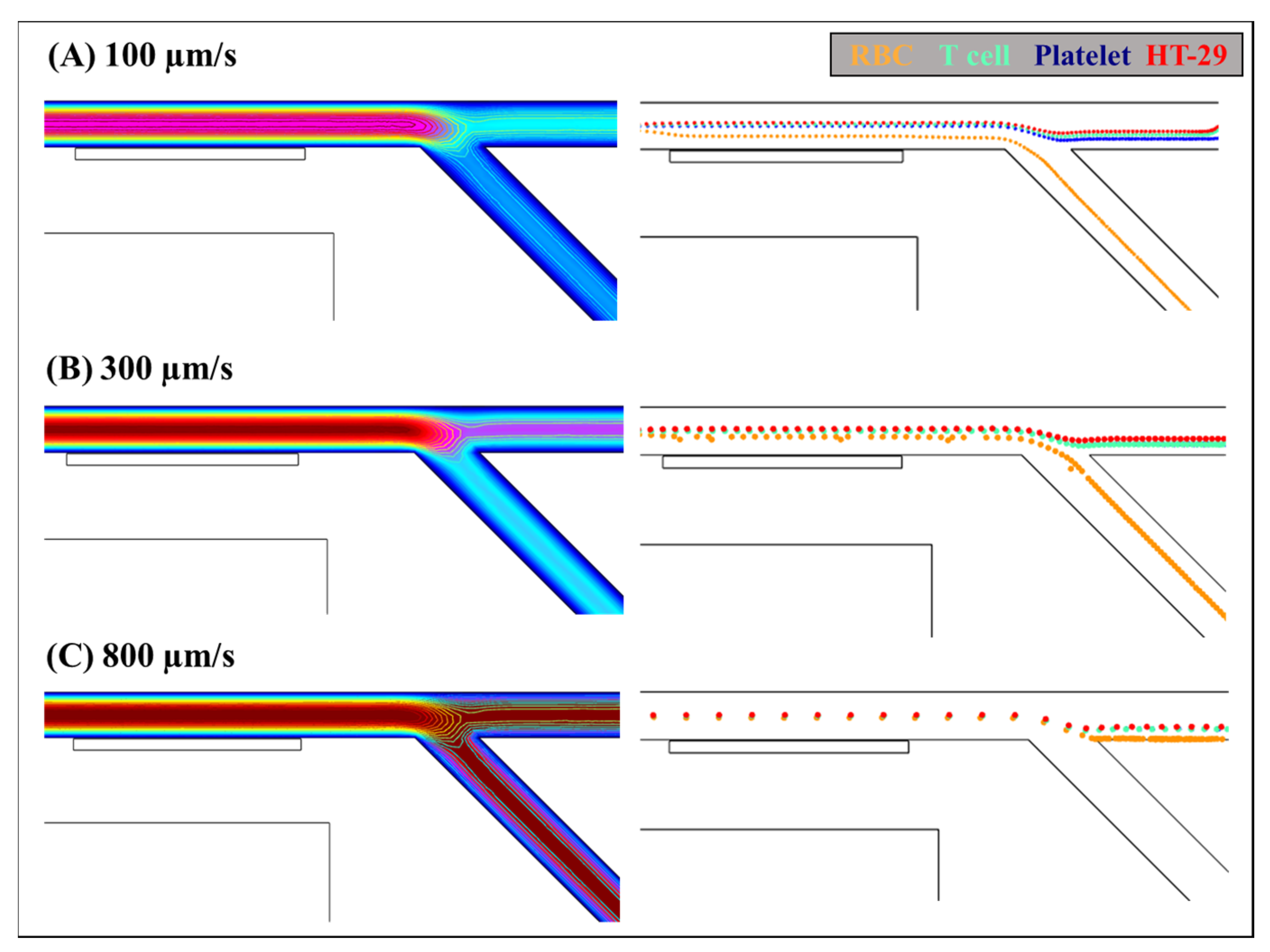 Biosensors 12 00757 g005
