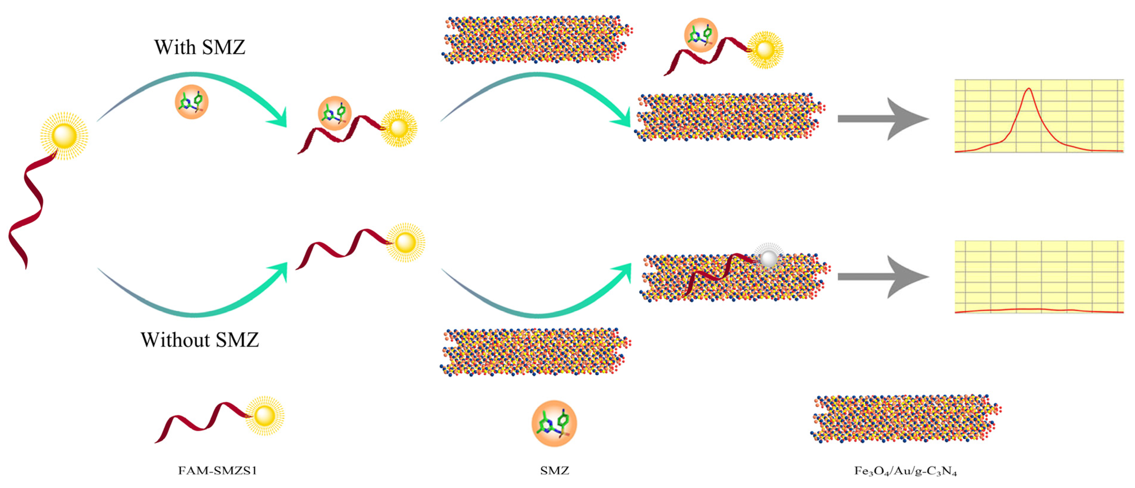 Biosensors 12 00759 g002
