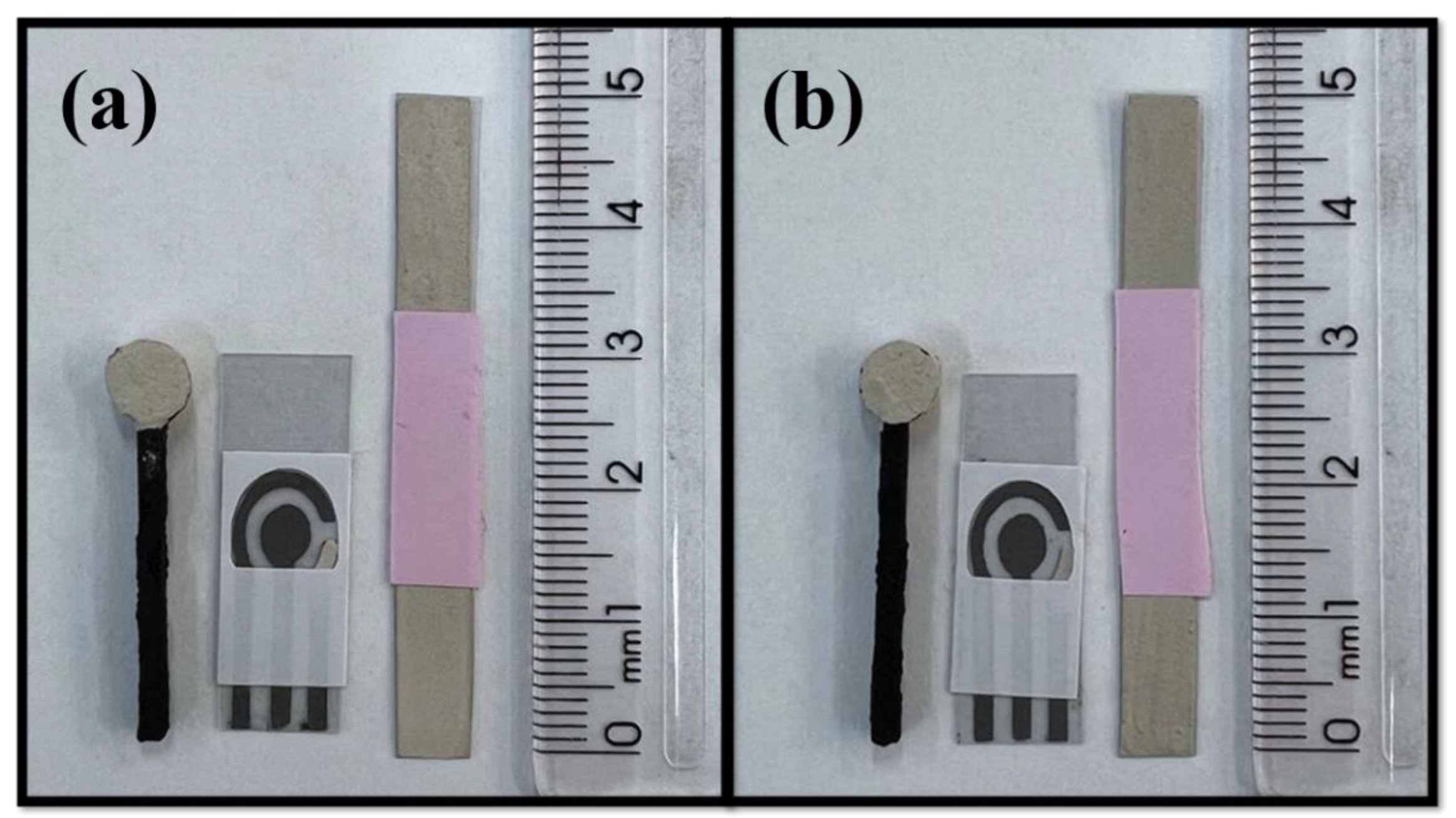 Biosensors 12 00761 g002