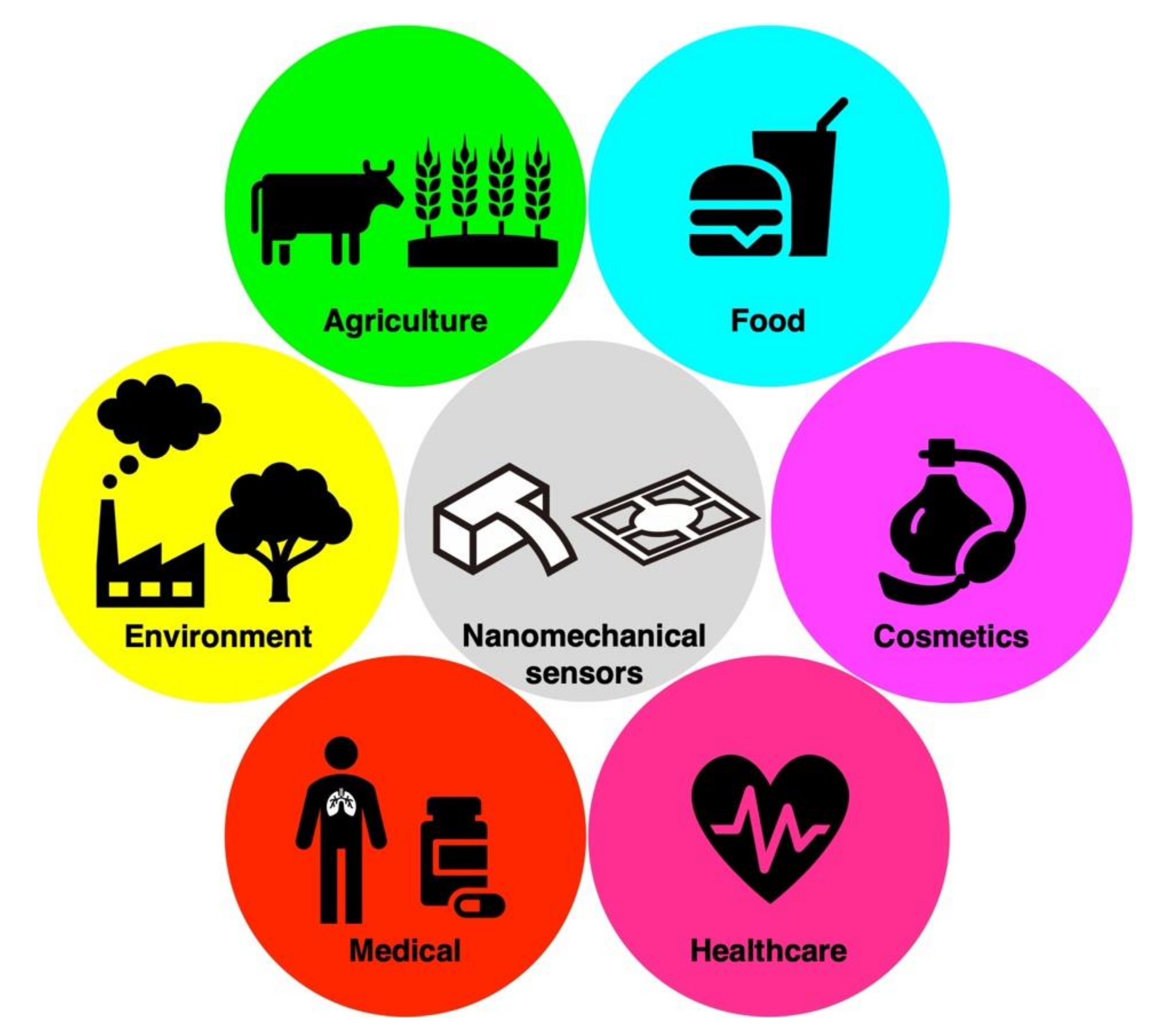 Biosensors 12 00762 g002