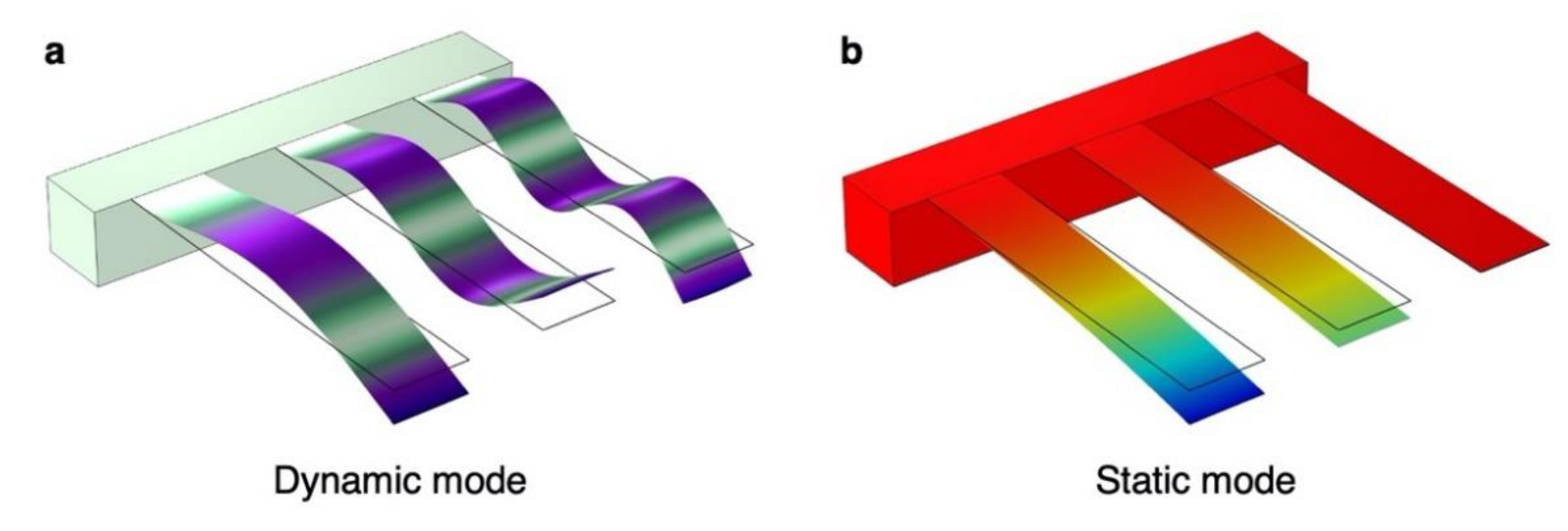 Biosensors 12 00762 g003