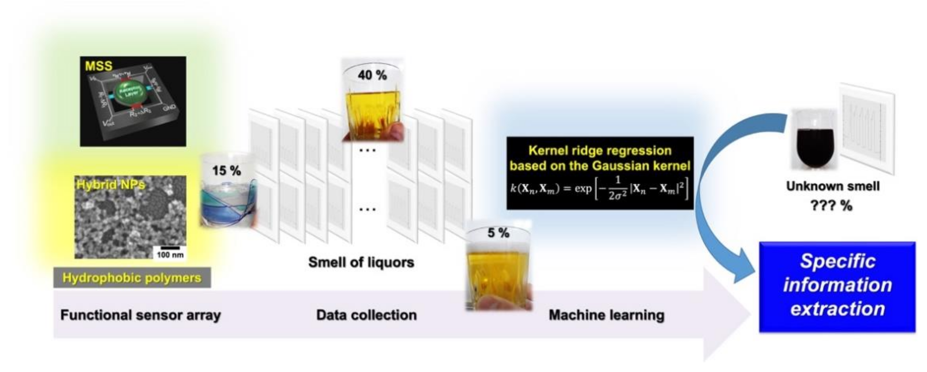 Biosensors 12 00762 g016