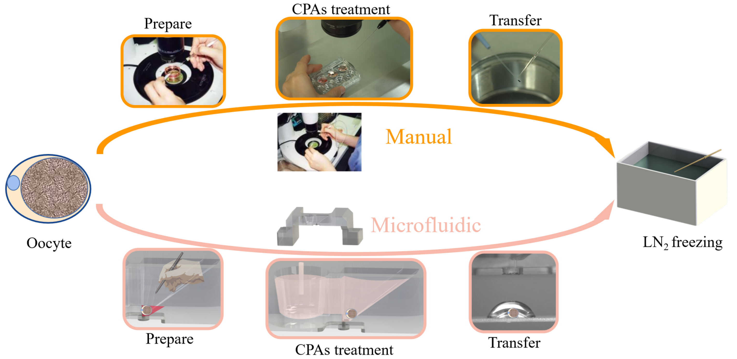 Biosensors 12 00766 g001 Biosensors 12 00766 g001