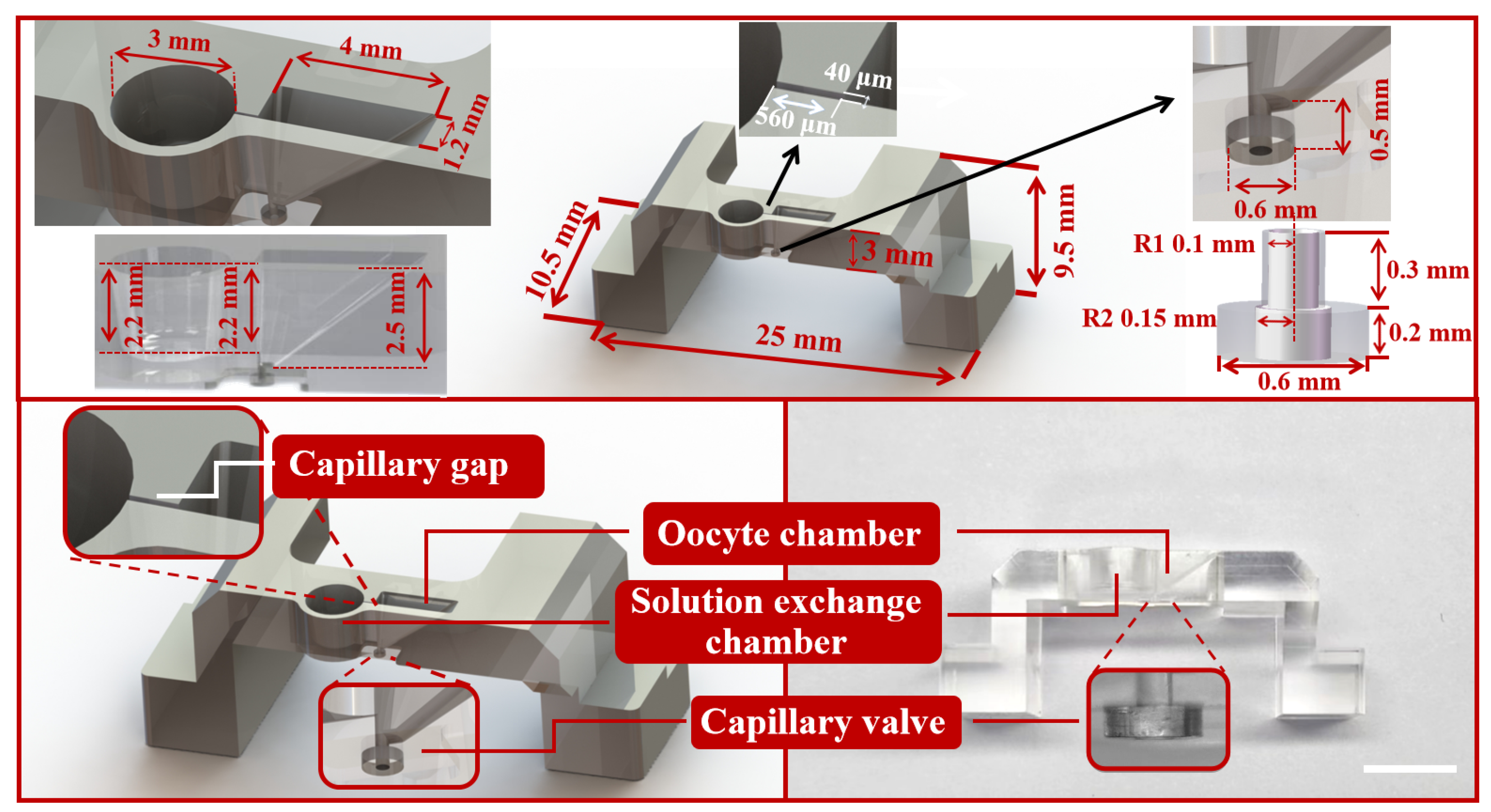 Biosensors 12 00766 g003 Biosensors 12 00766 g003